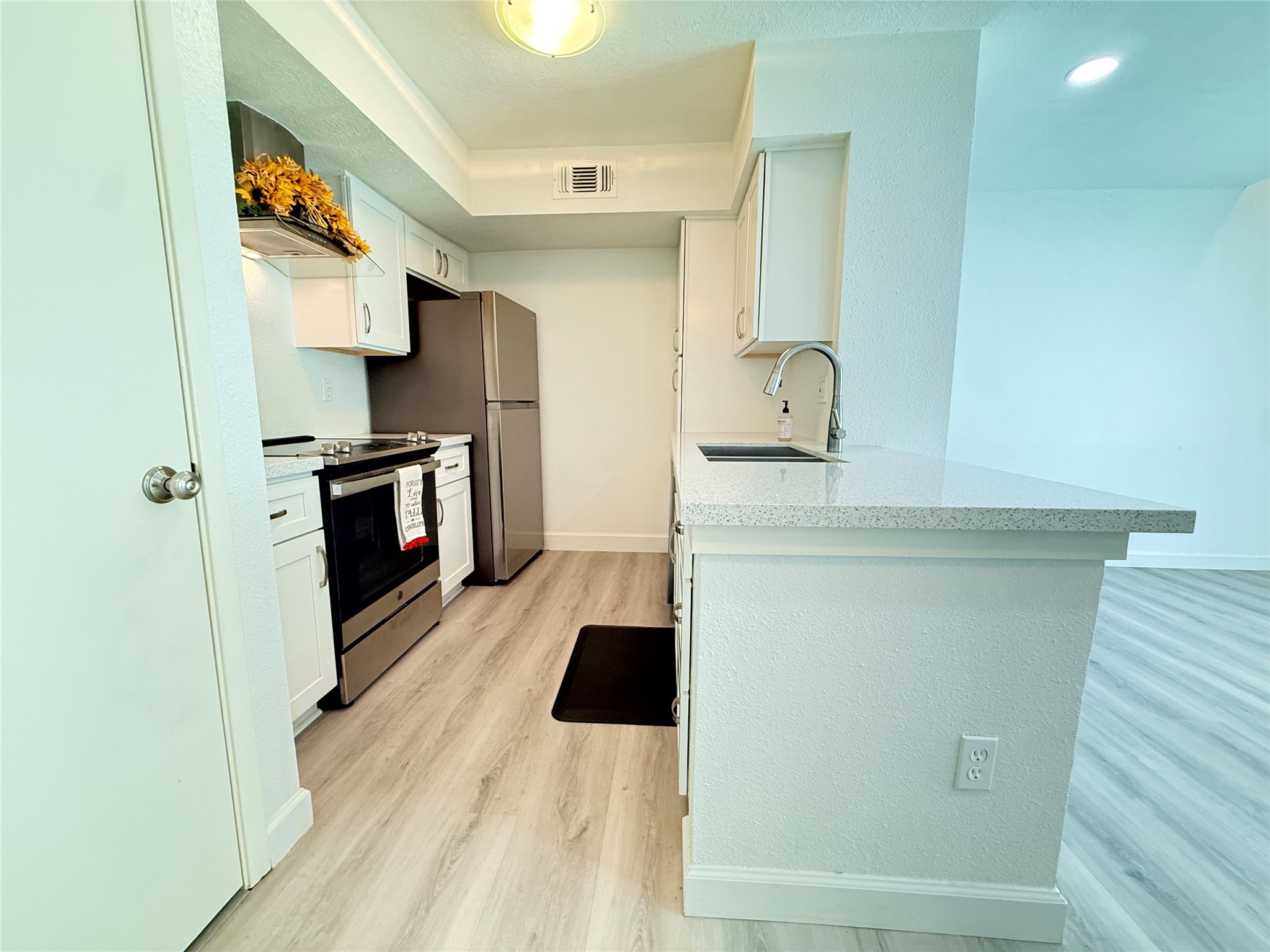 Enjoy the open kitchen with new appliances and quartz countertops. Door to left is washer/dryer.