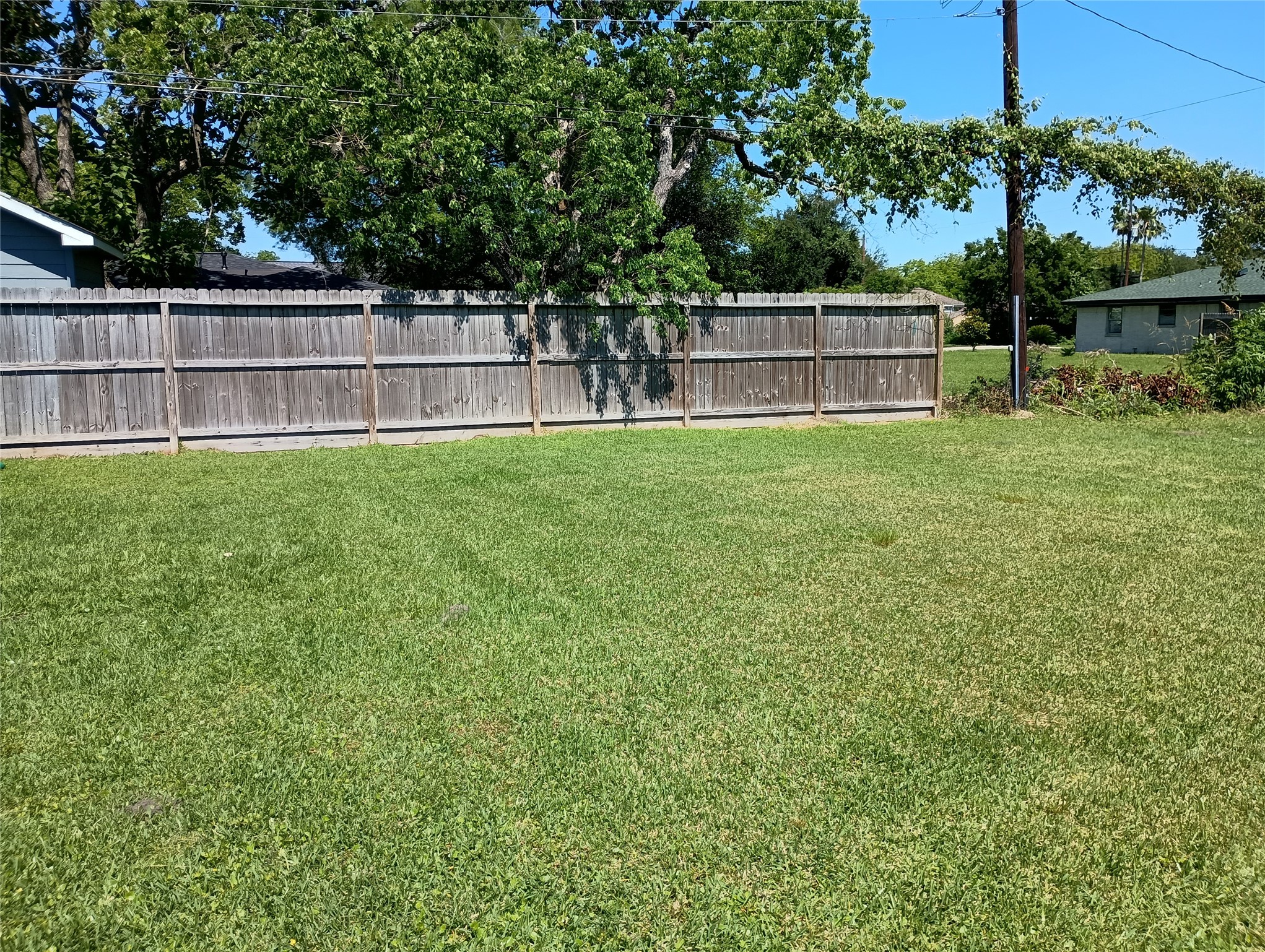 The front of the lot facing the backyard. A neighbor's wooden fence covers most of the back of the property.