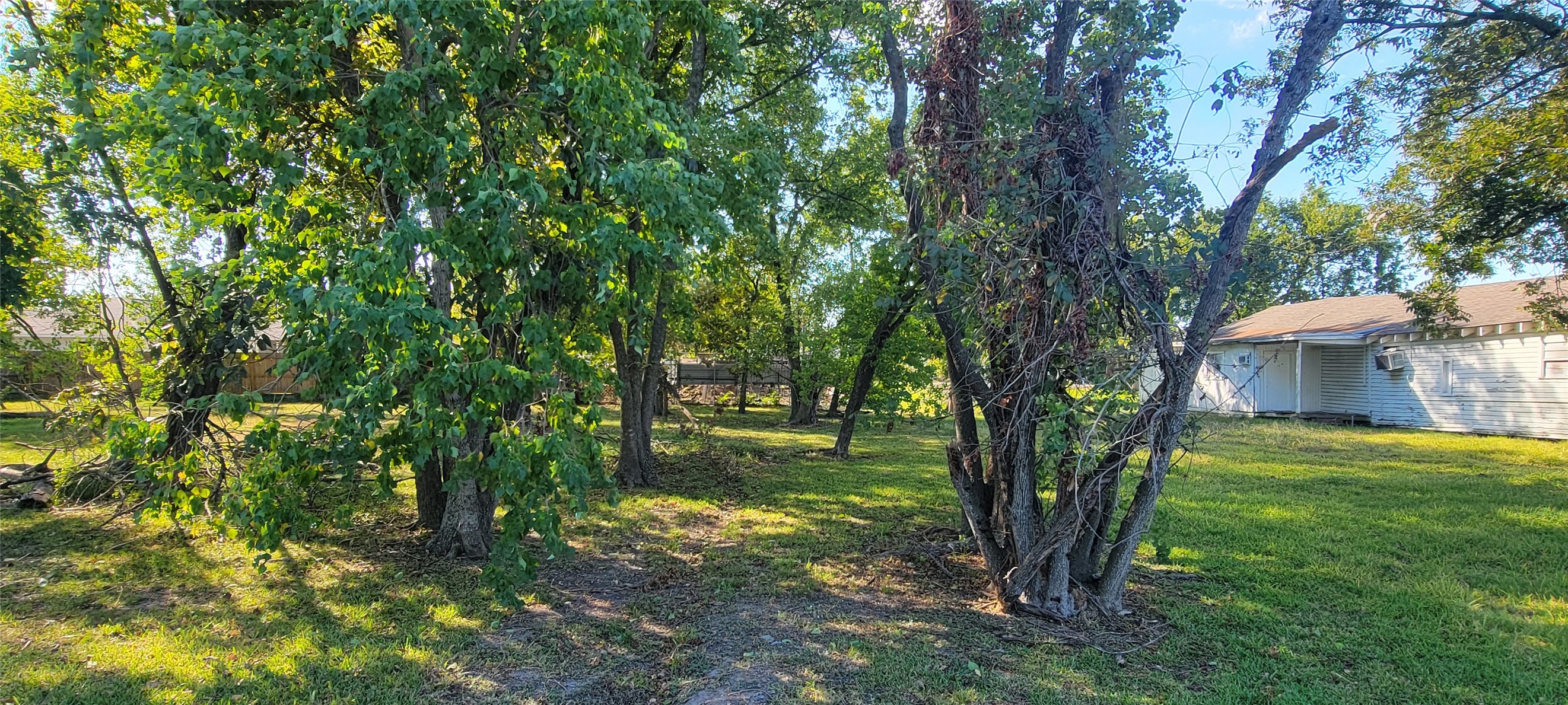 Front of lot
