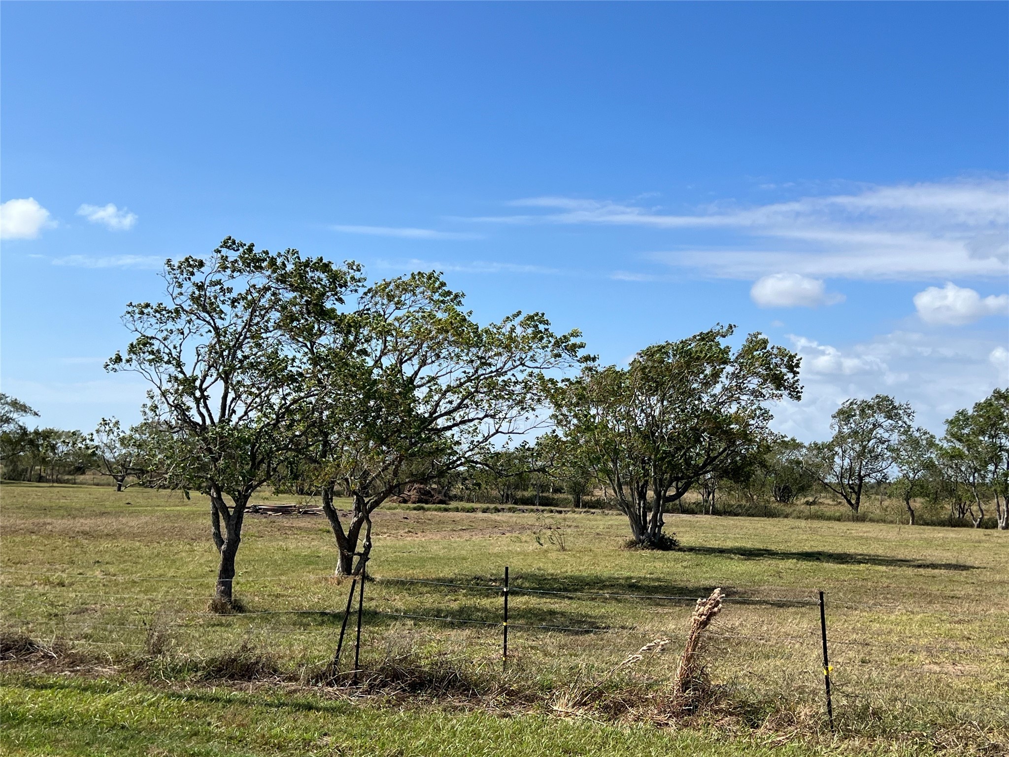 000 Redfish Drive, Hitchcock, TX 77563