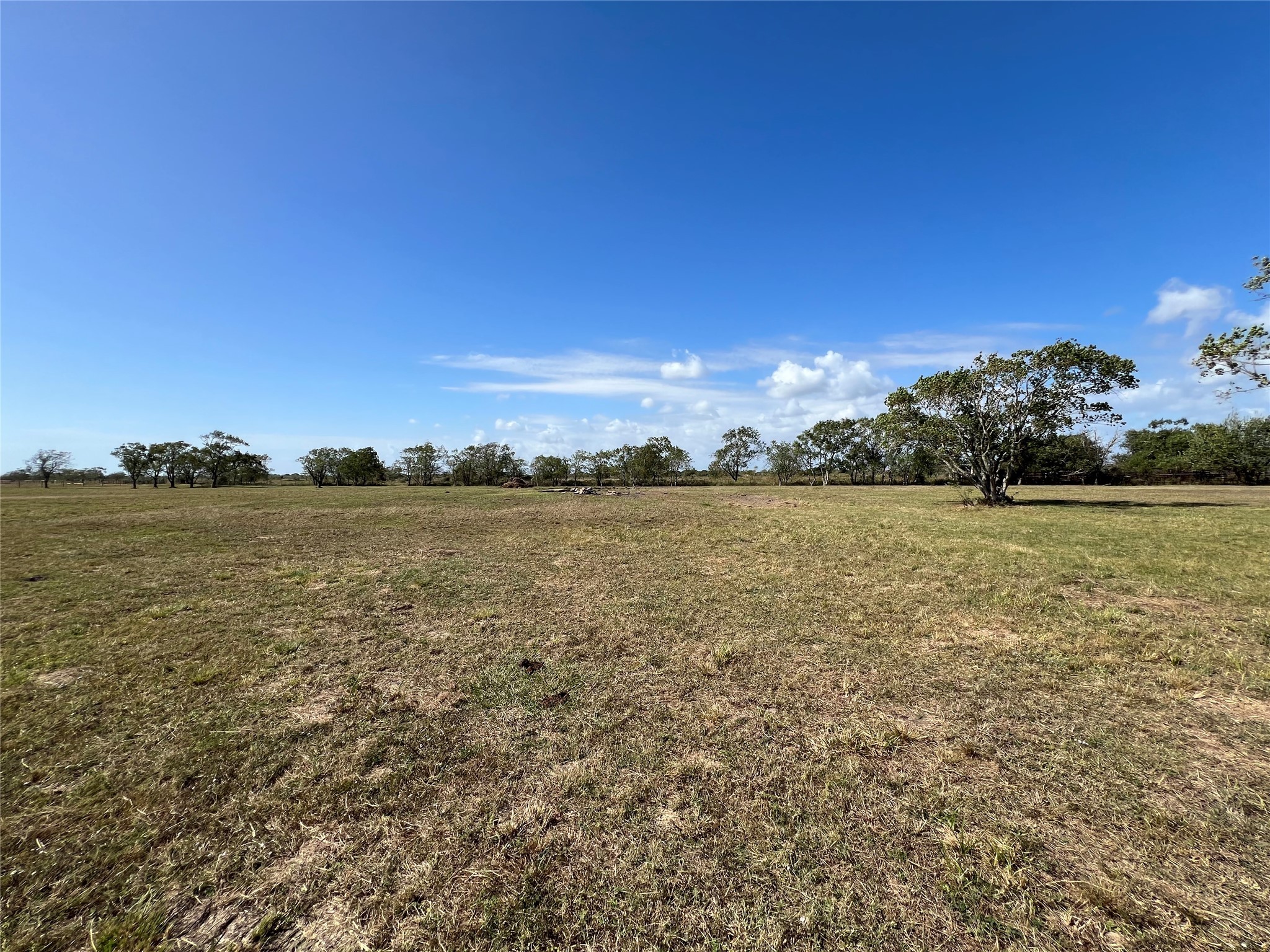 000 Redfish Drive, Hitchcock, TX 77563