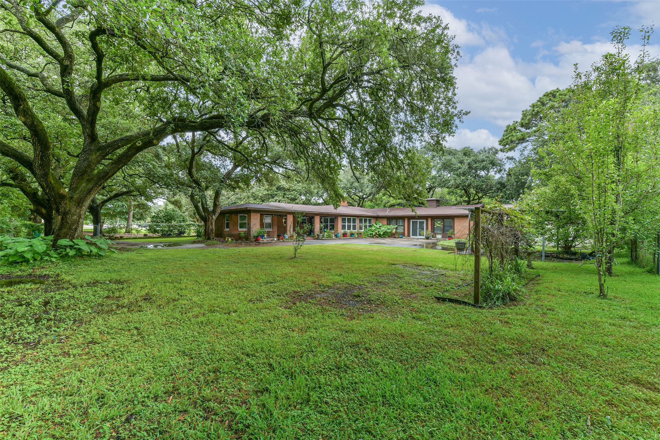 View from the back corner of the lot looking towards the back of the house.