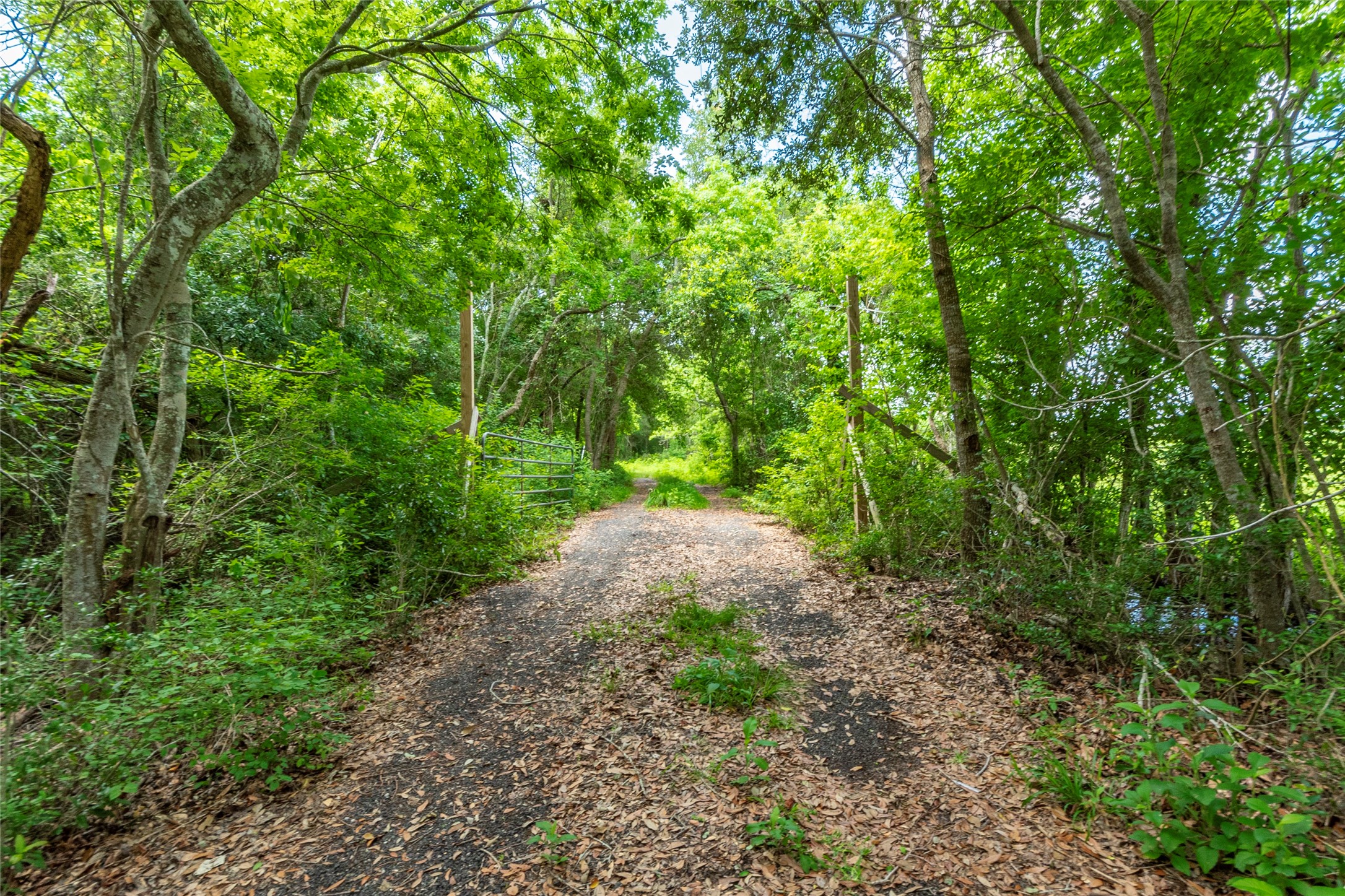 23 Custer, Hitchcock, TX 77563