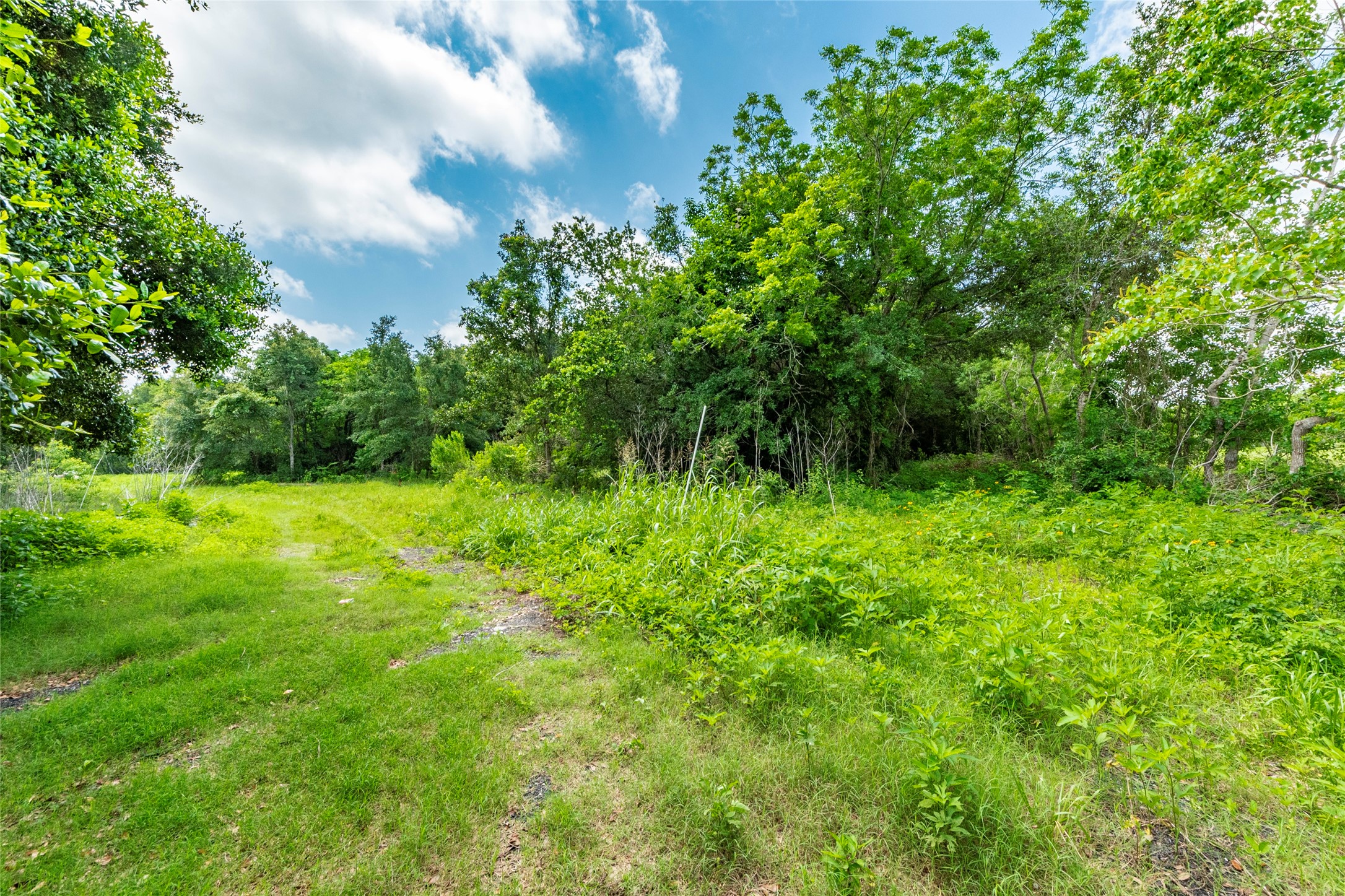 23 Custer, Hitchcock, TX 77563