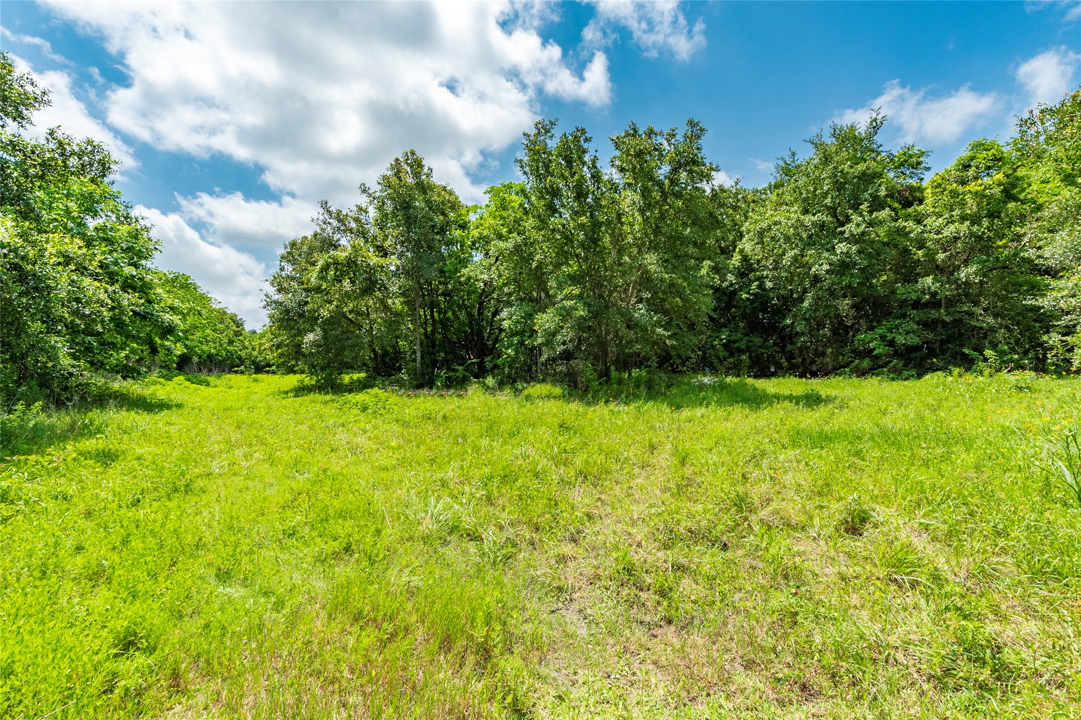 23 Custer, Hitchcock, TX 77563
