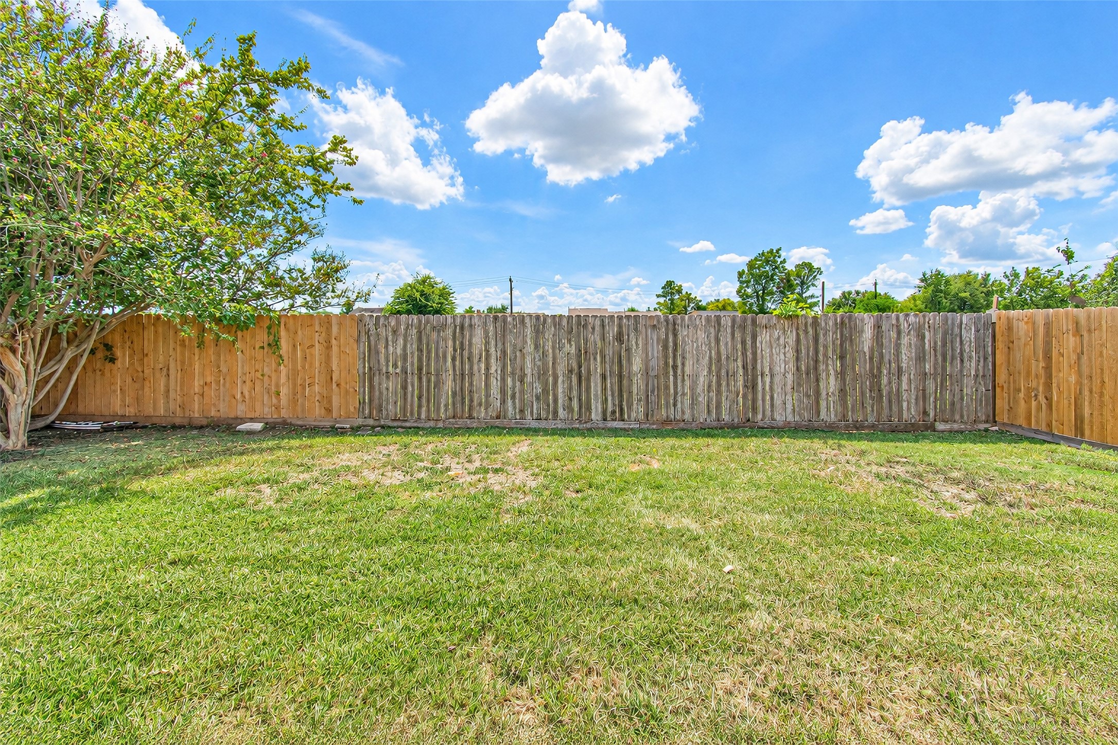 Expansive fenced backyard with lush green grass and a mature tree, perfect for outdoor activities or relaxation.