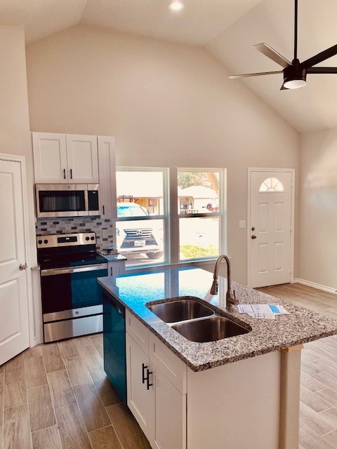 11907 Nelwood Street, Willis, TX 77318