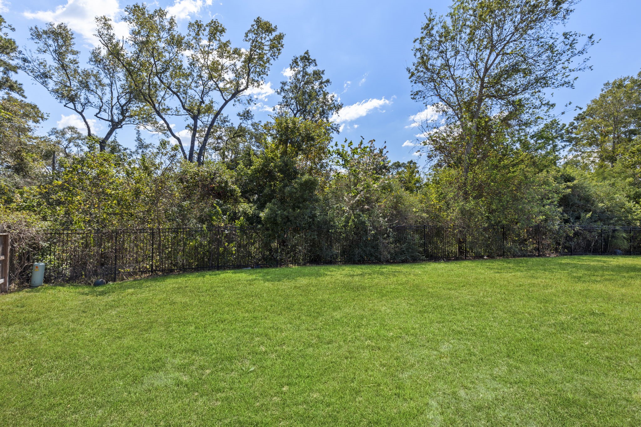 28068 Dove Chase Drive, Spring, TX 77386
