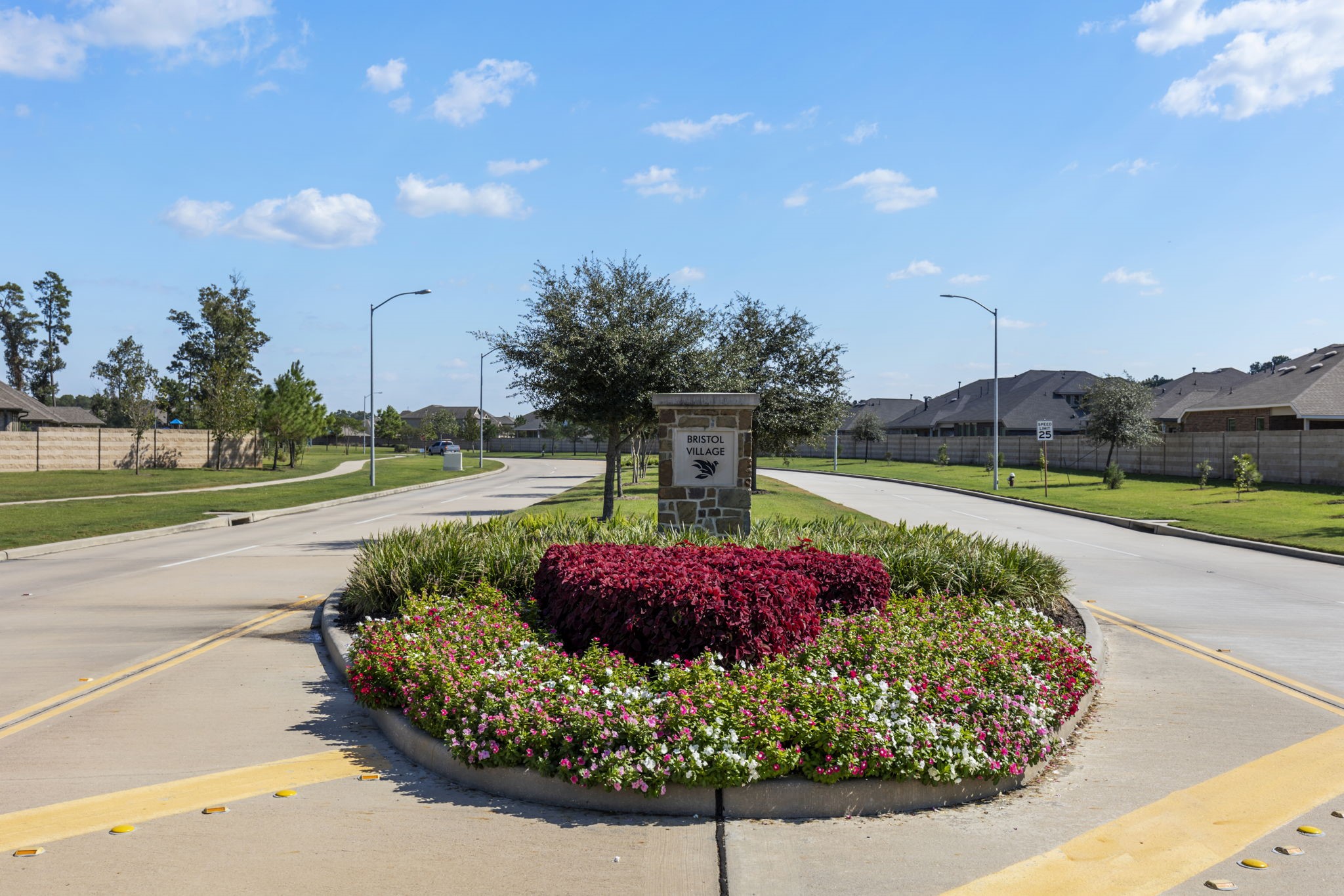 28068 Dove Chase Drive, Spring, TX 77386