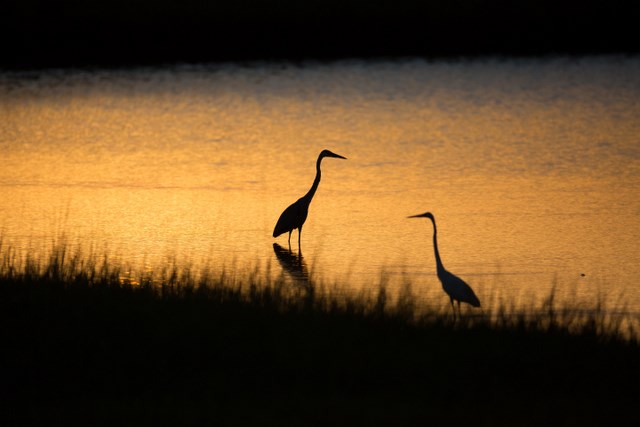 2 Little Torch, Hitchcock, TX 77563