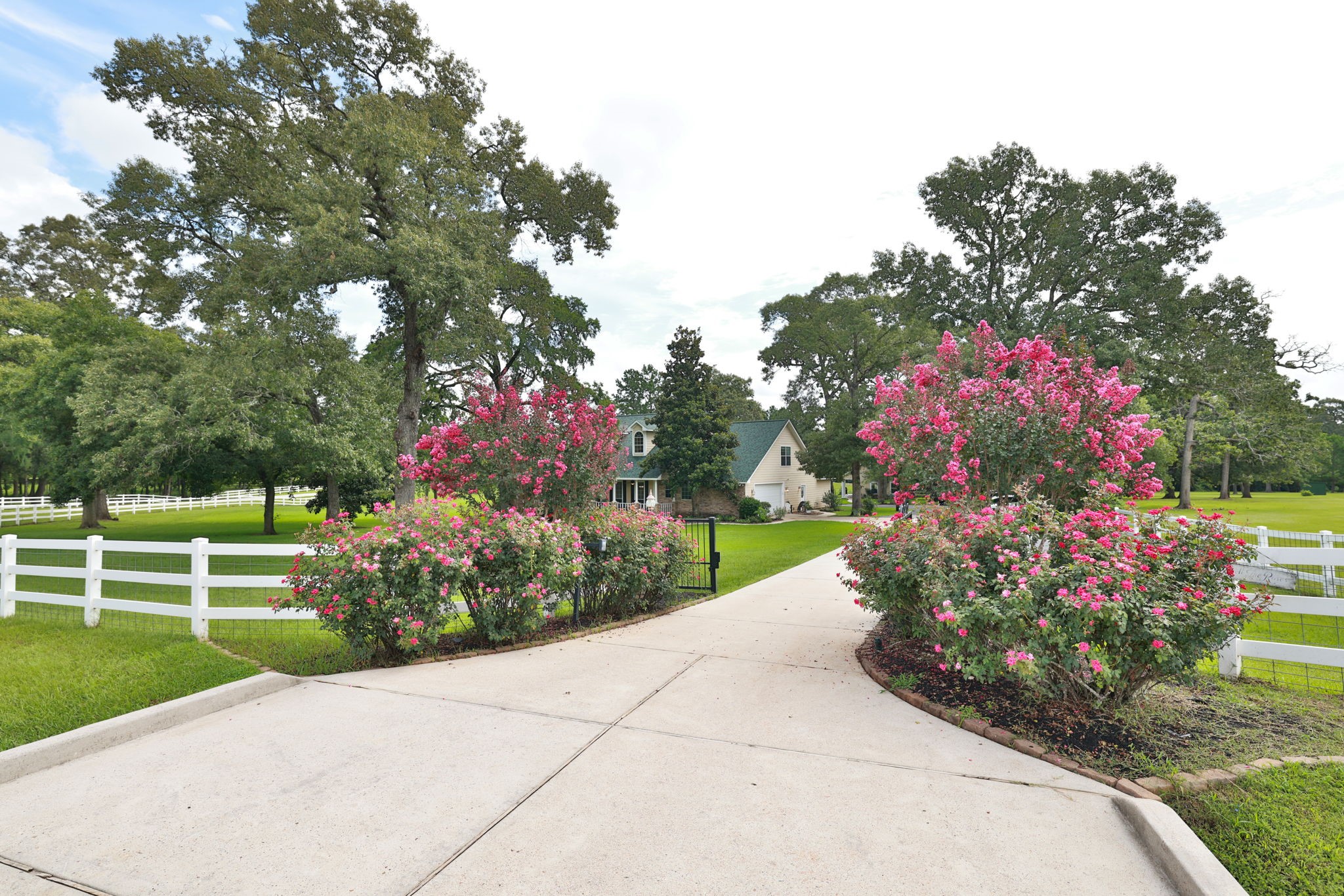 Charming country home set on a spacious property with a lush green lawn. A welcoming driveway lined with vibrant pink flowering bushes leads to the house. Surrounded by mature trees and a white fence, offering privacy and a picturesque setting. Charming country home set on a spacious property with a lush green lawn. A welcoming driveway lined with vibrant pink flowering bushes leads to the house. Surrounded by mature trees and a white fence, offering privacy and a picturesque setting.