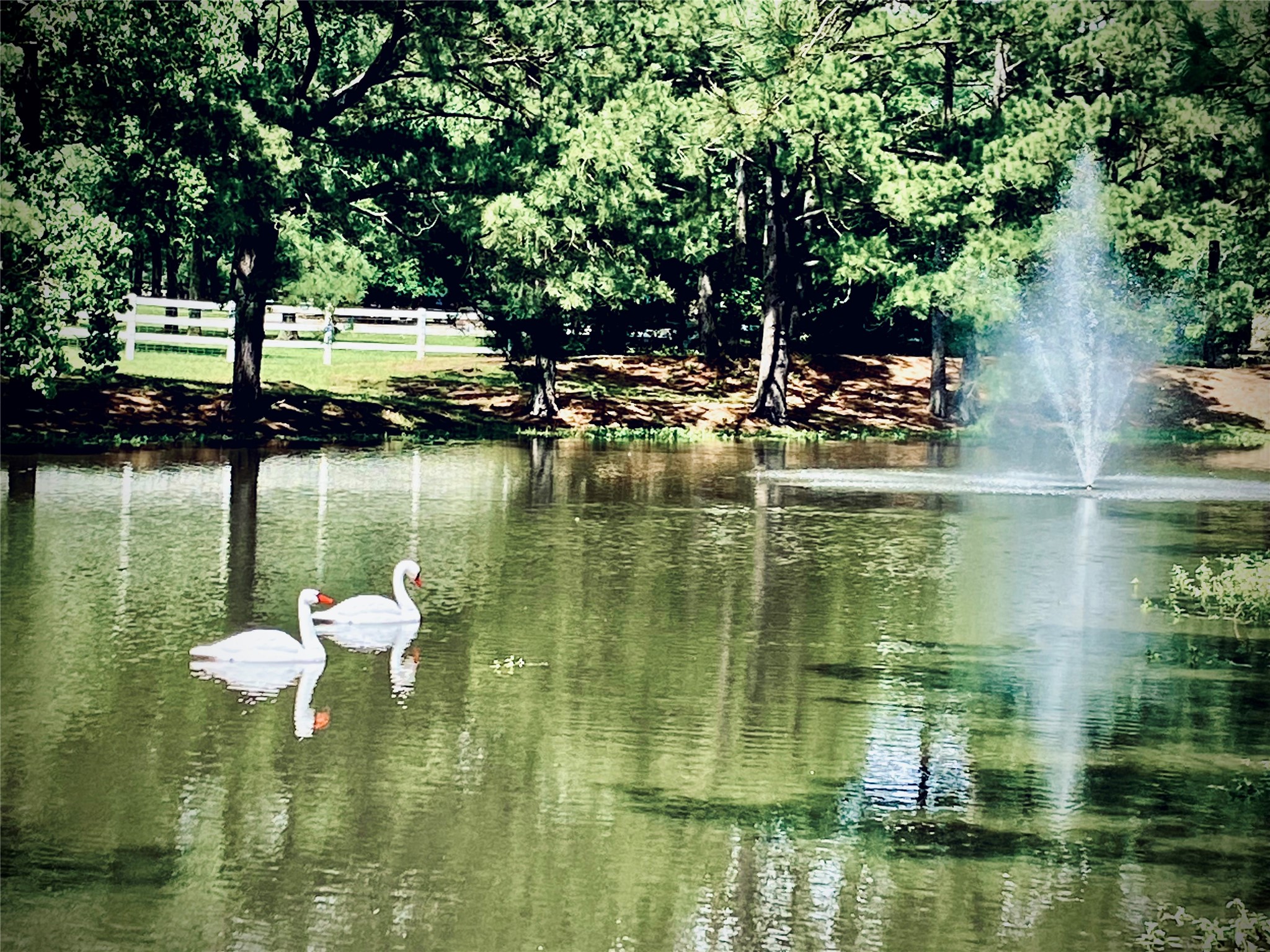 A serene pond with (fake) swans and a fountain, surrounded by lush greenery and a white fence, creates a tranquil, picturesque setting perfect for a peaceful home environment.