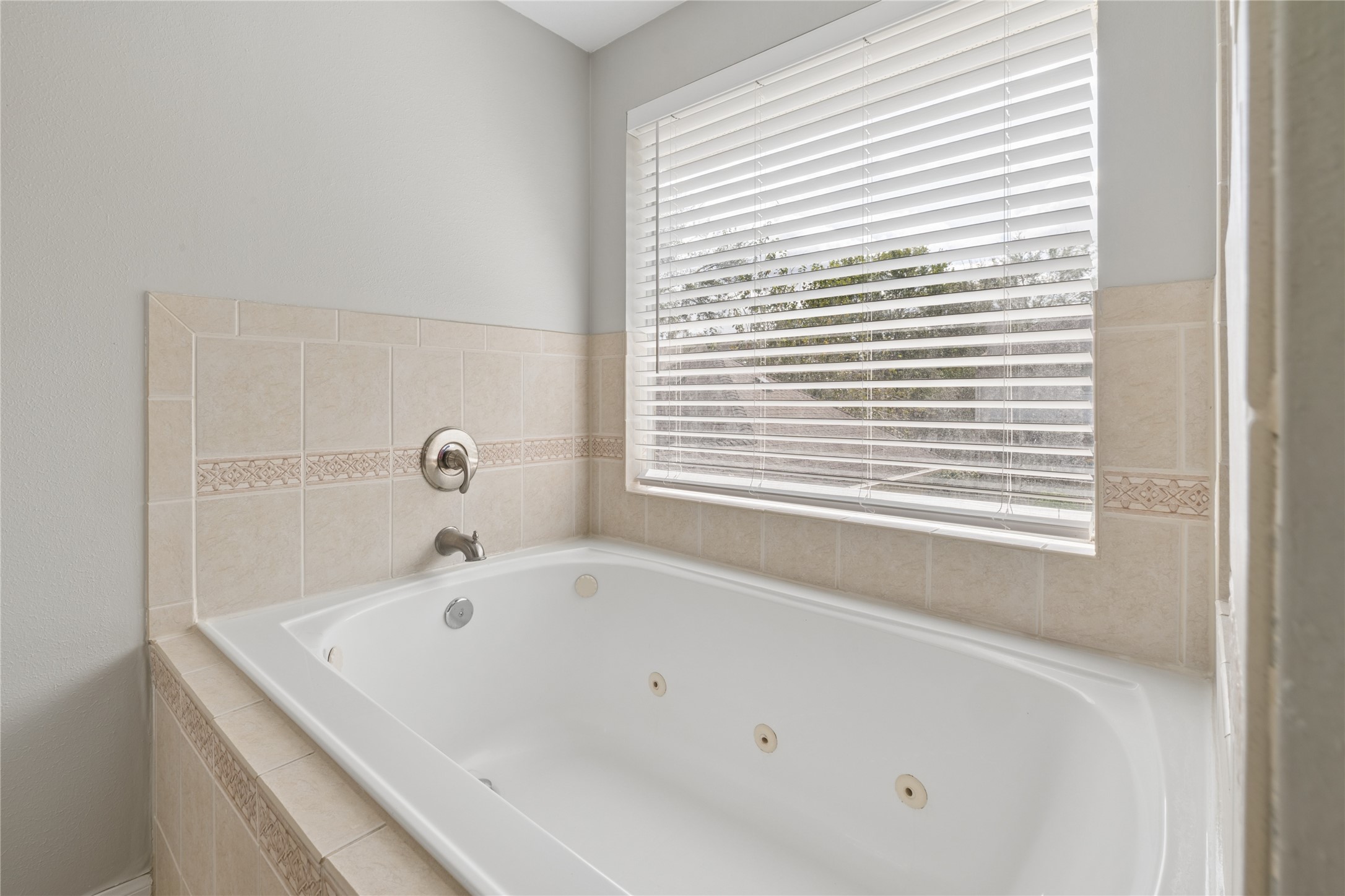 Primary Bath Tub