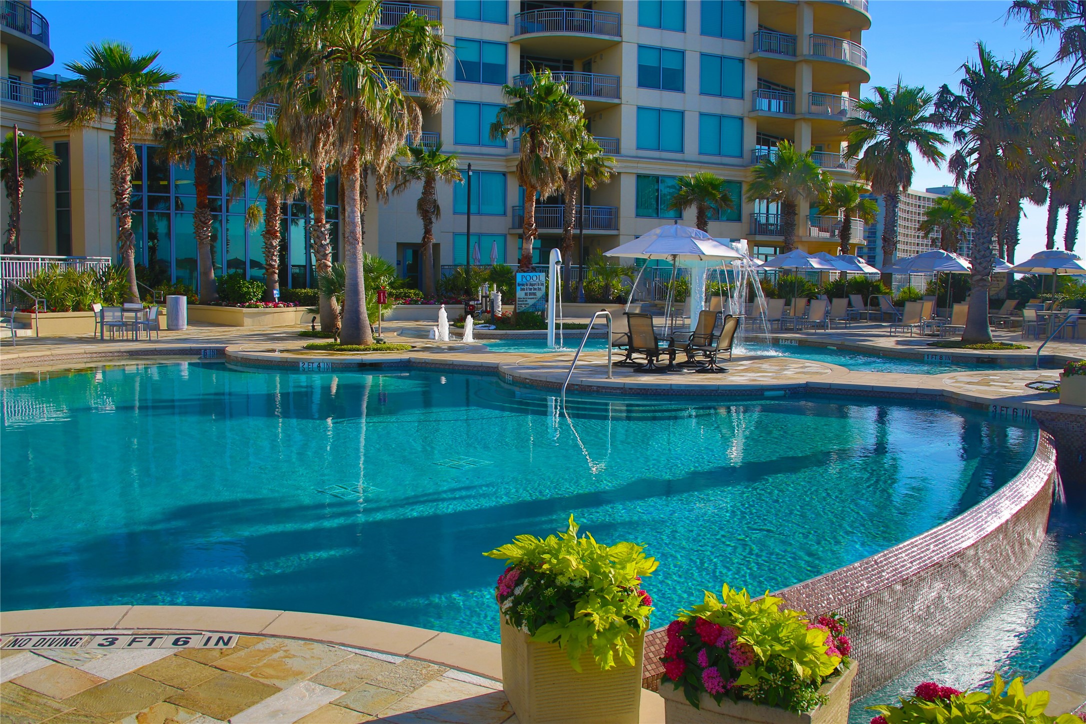 Resort-style pools, swaying palms, and inviting spaces to relaxevery day feels like a coastal getaway at Palisade Palms