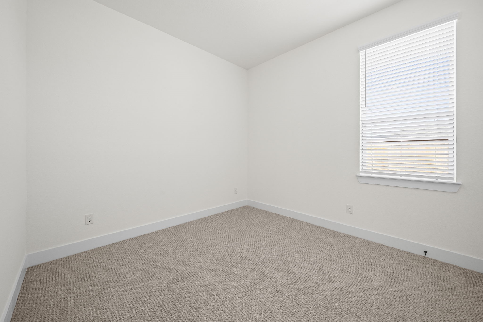 11218 White Crownbeard Drive, Cypress, TX 77433