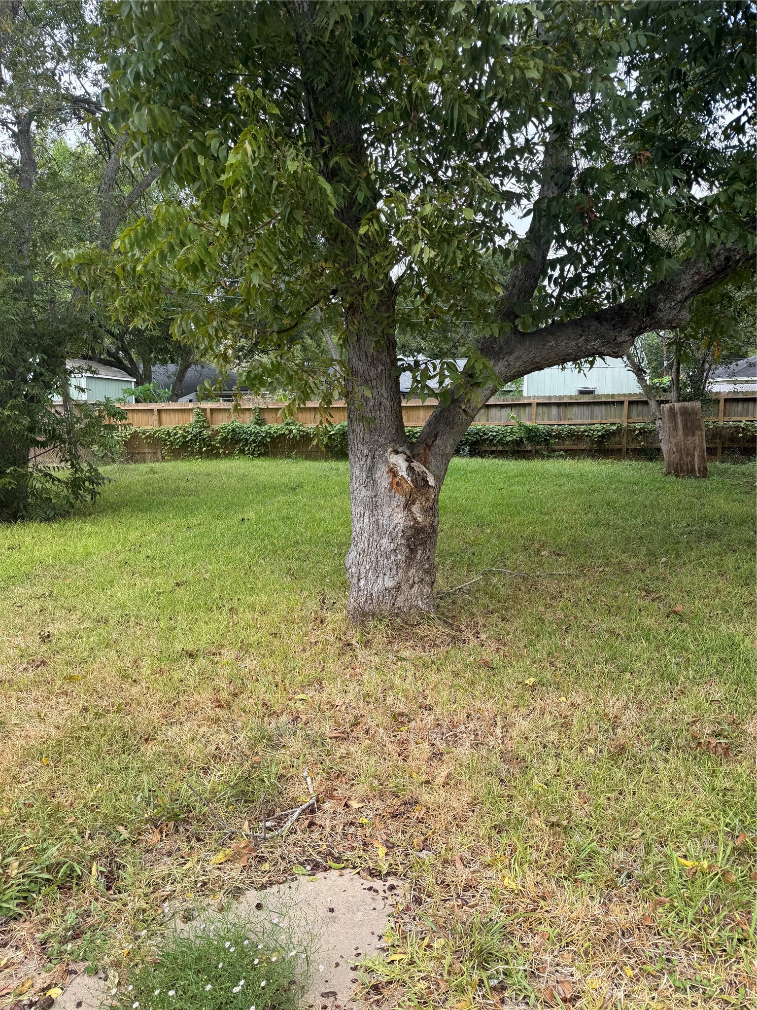 1610 2nd Street, League City, TX 77573