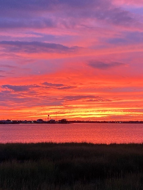 Your front yard. Your front yard.