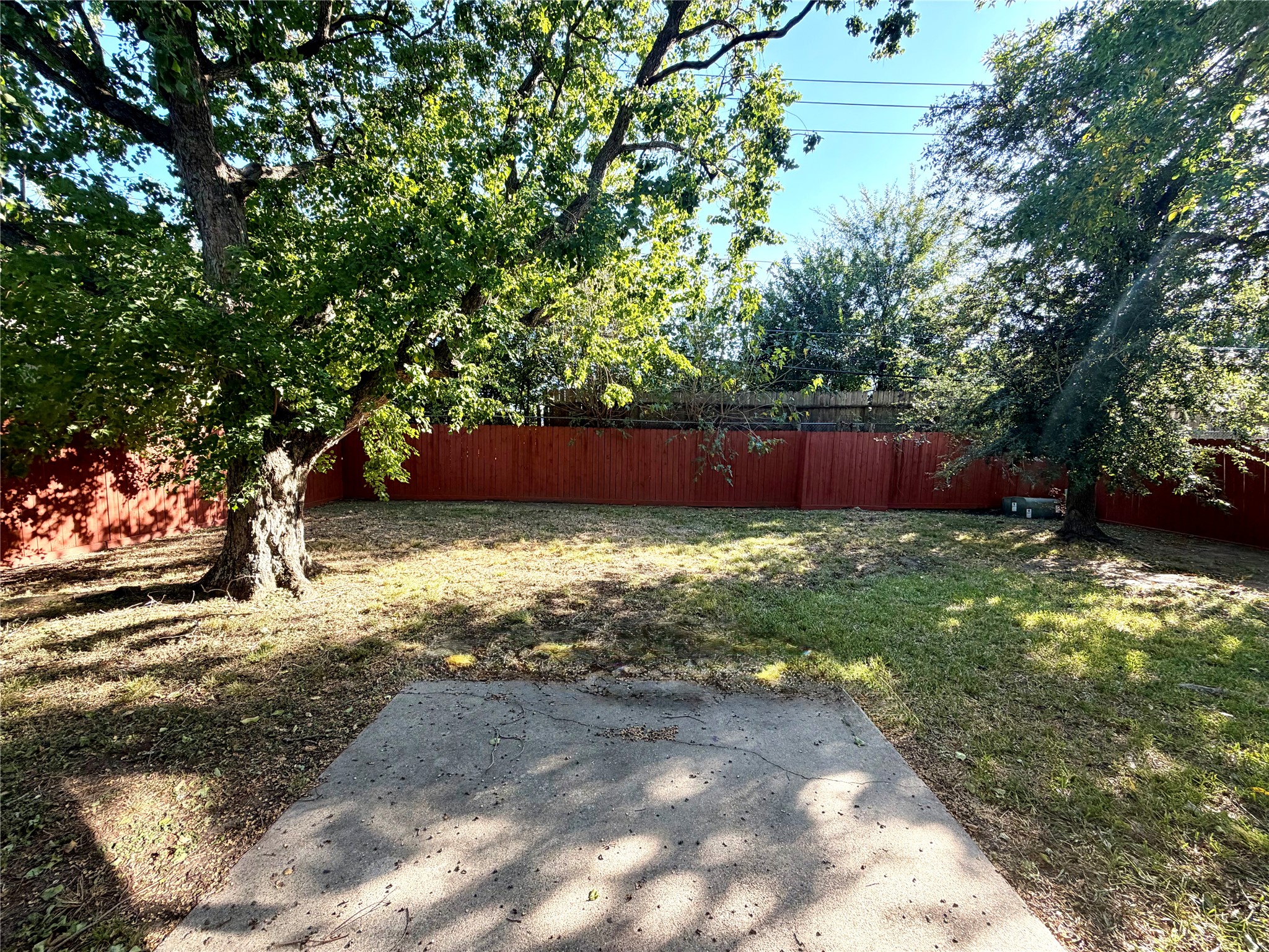 Spacious Backyard