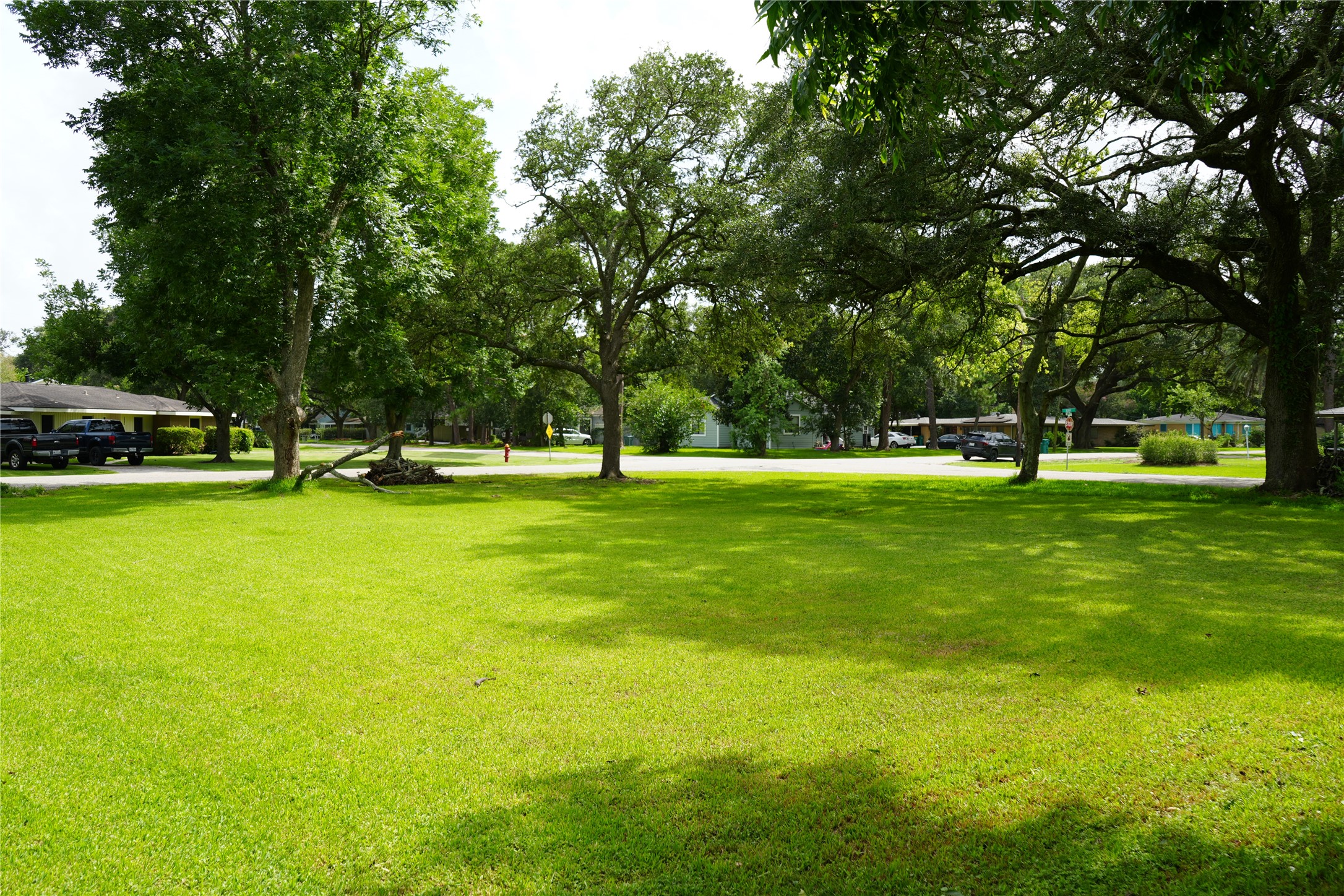 Back angle of the lot looking towards the street.