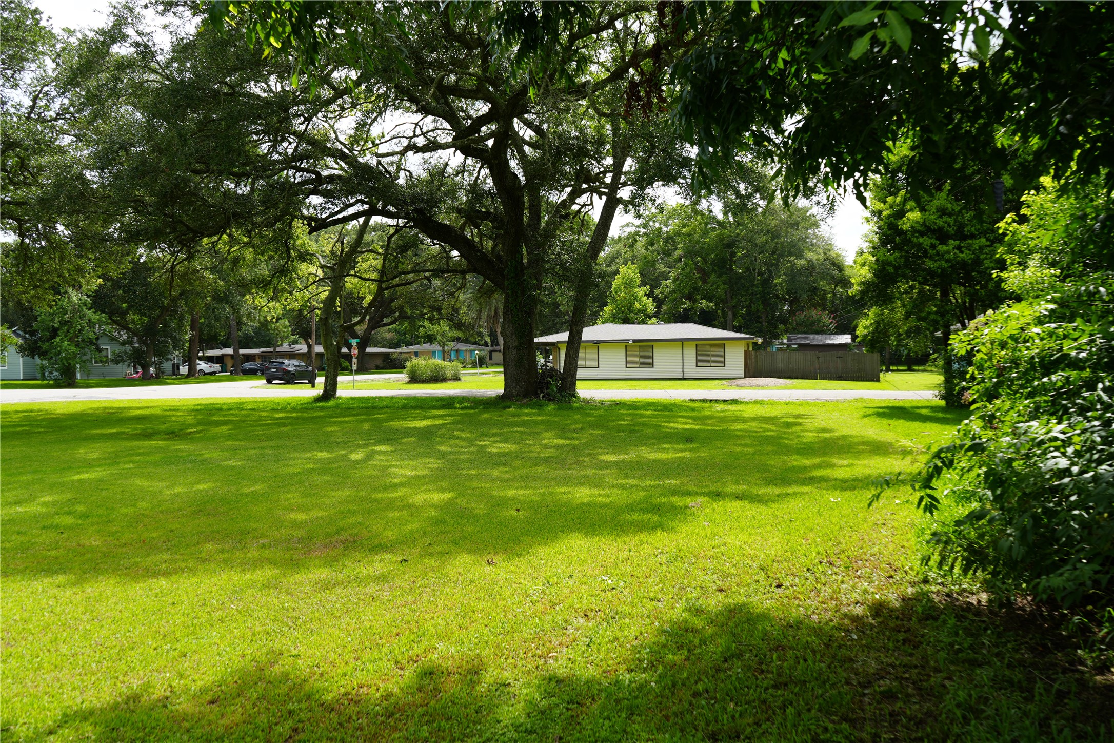 Back angle of the lot looking towards the street.
