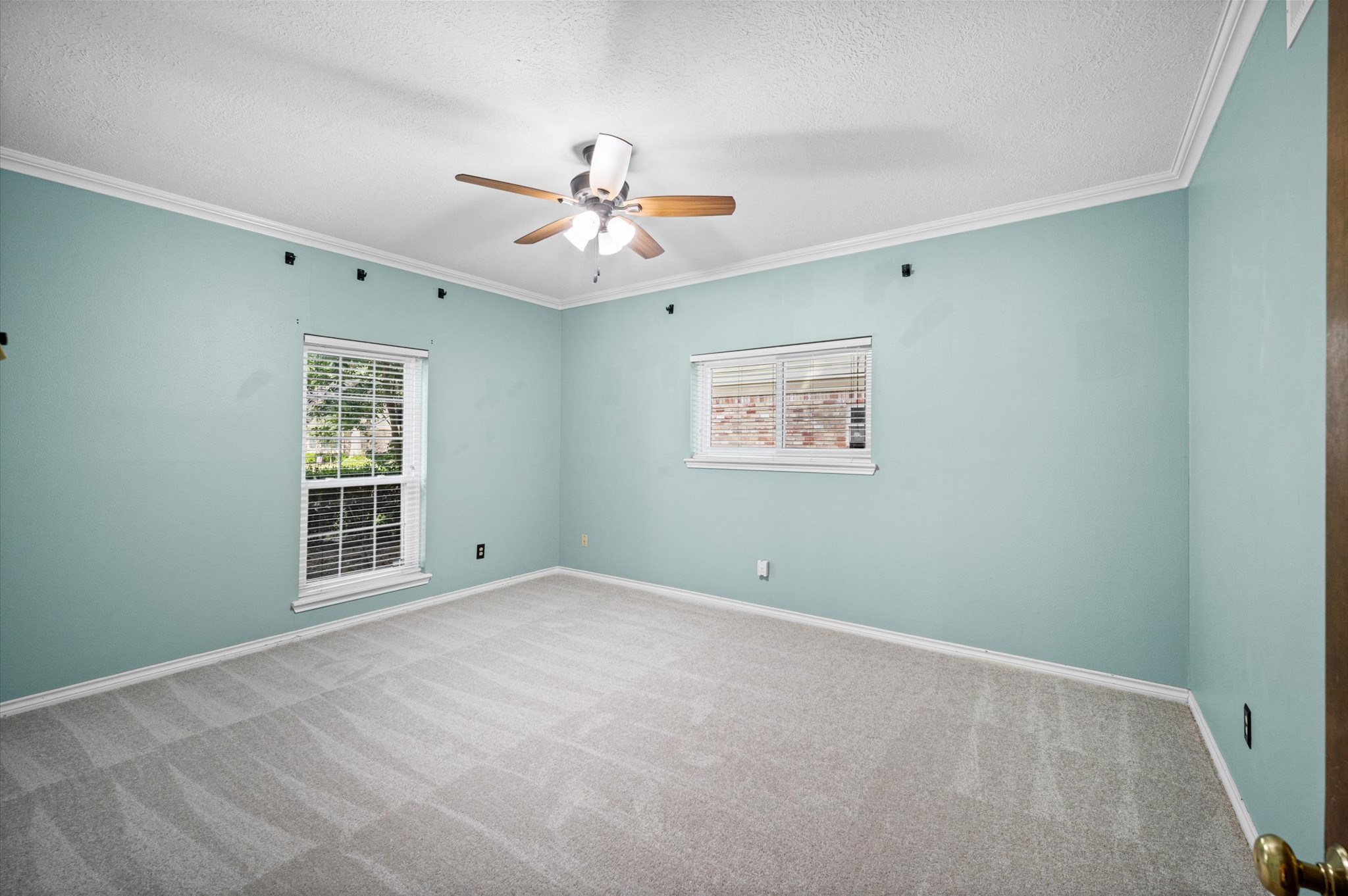 Primary bedroom is located on the first floor and features brand new carpet, and plenty of natural lighting.
