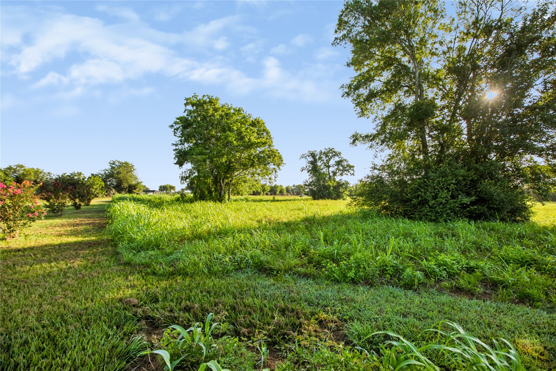 This property is ready for your dream home!