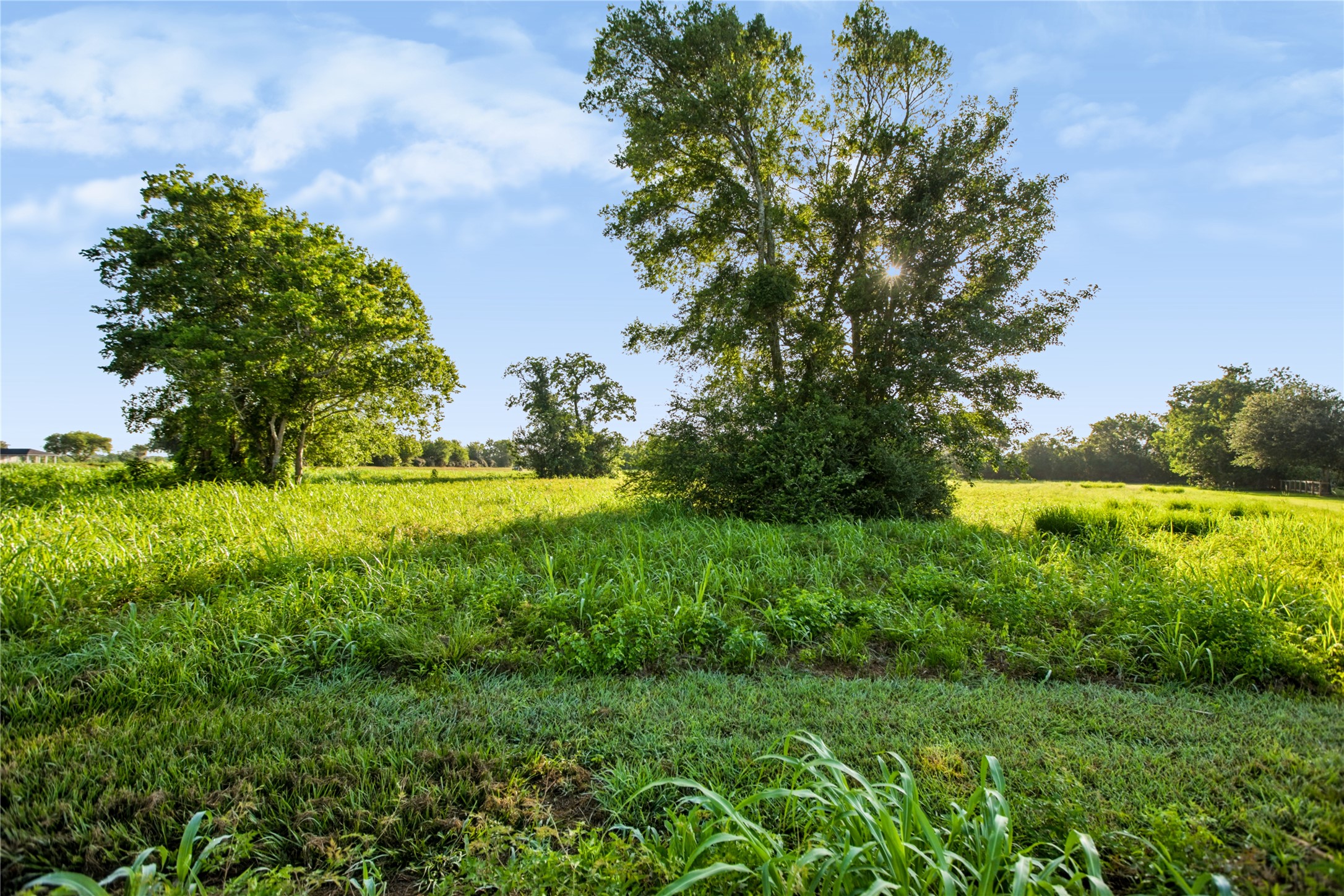 The land is cleared and ready to build, with some trees still remaining.