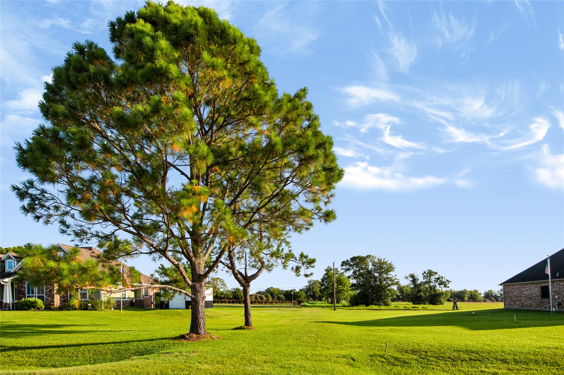 A view leading back to the property from the driveway.