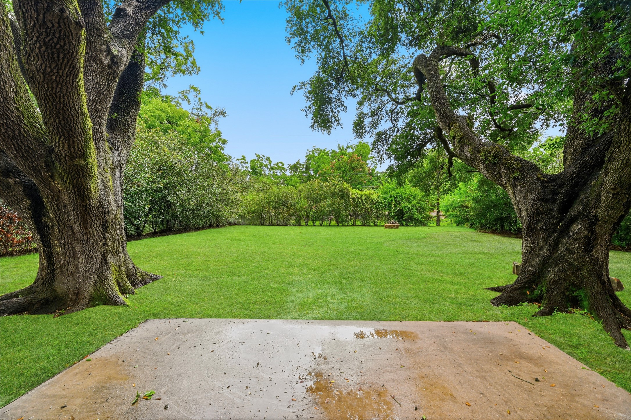 Private backyard perfect for outdoor living and entertaining