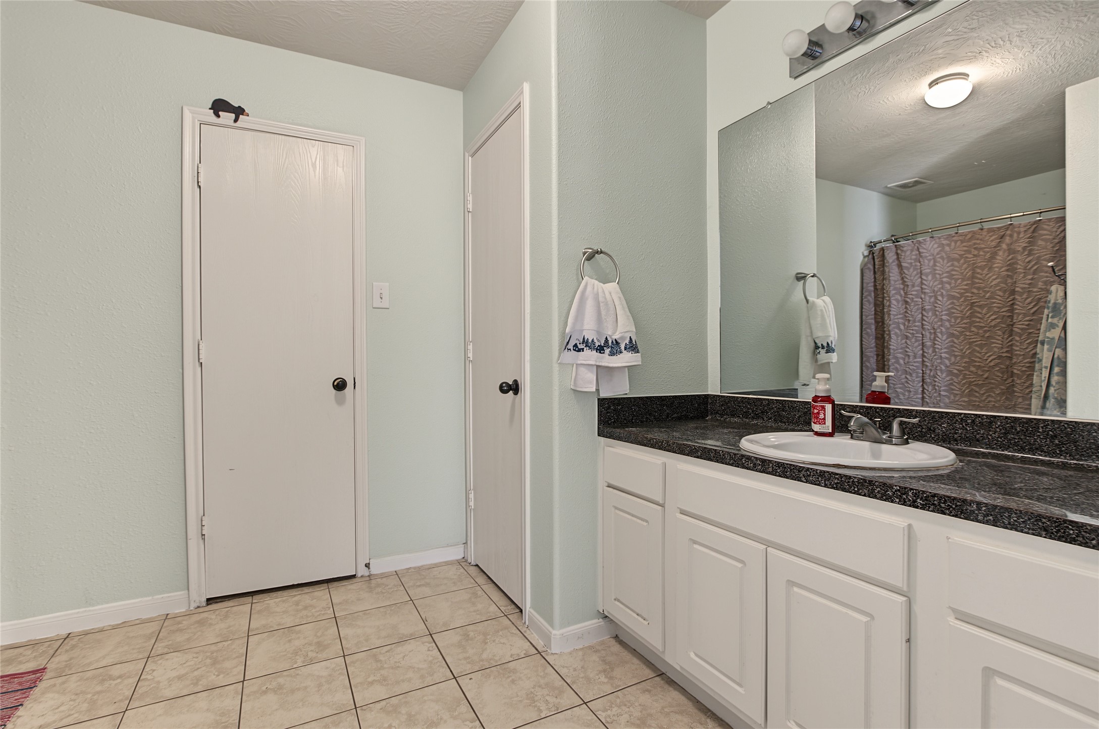 25251 Big Horn Lane, Magnolia, TX 77355