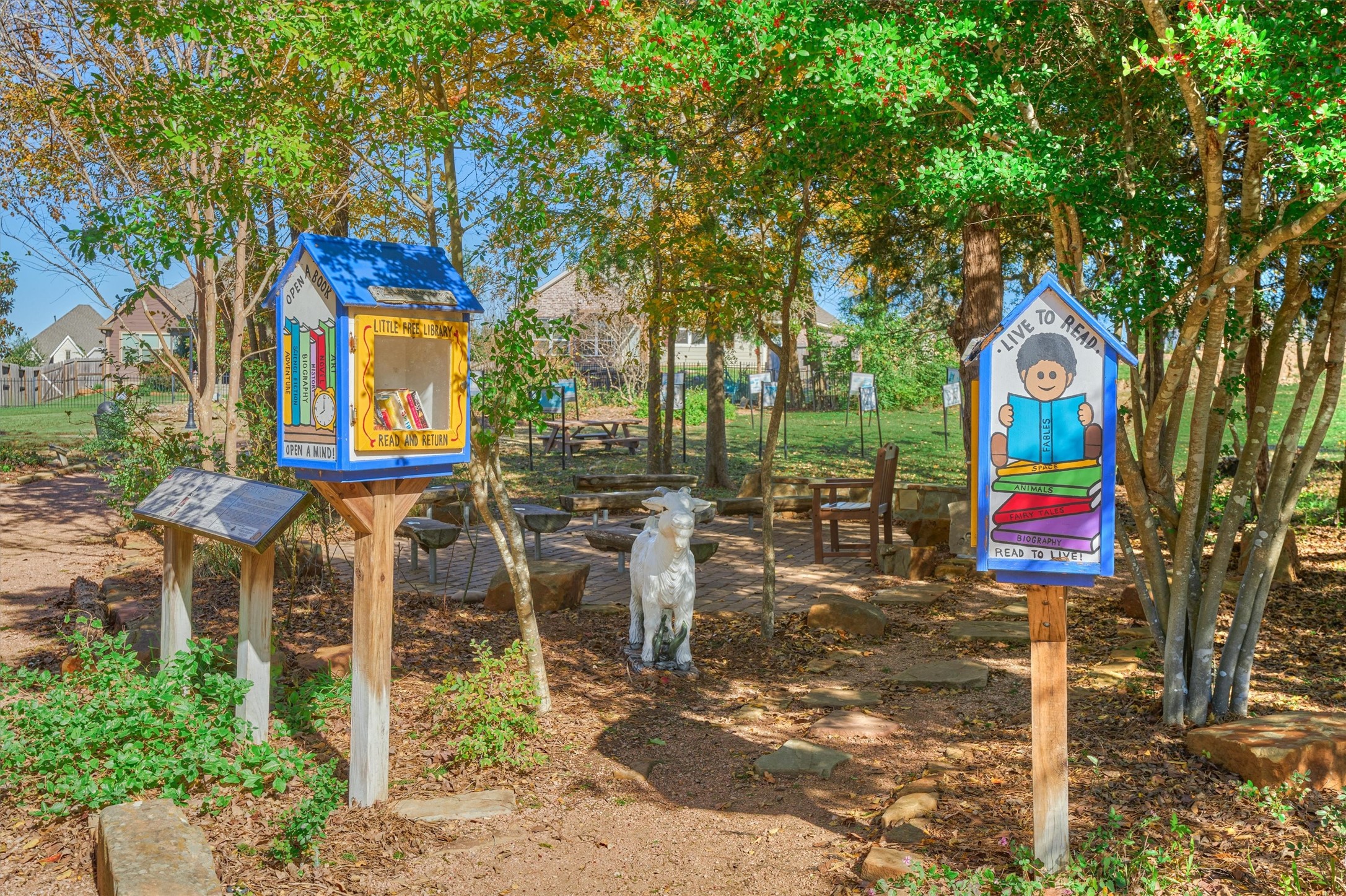 Book exchange at the park.