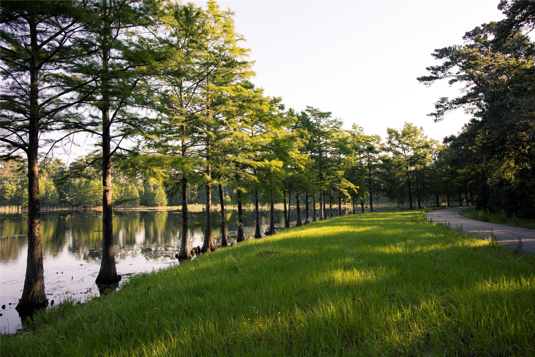 The 12-acre Deer Lake is another place to cast a line, whether from your own private fishing hole along the natural shoreline, the fishing pier or your kayak.