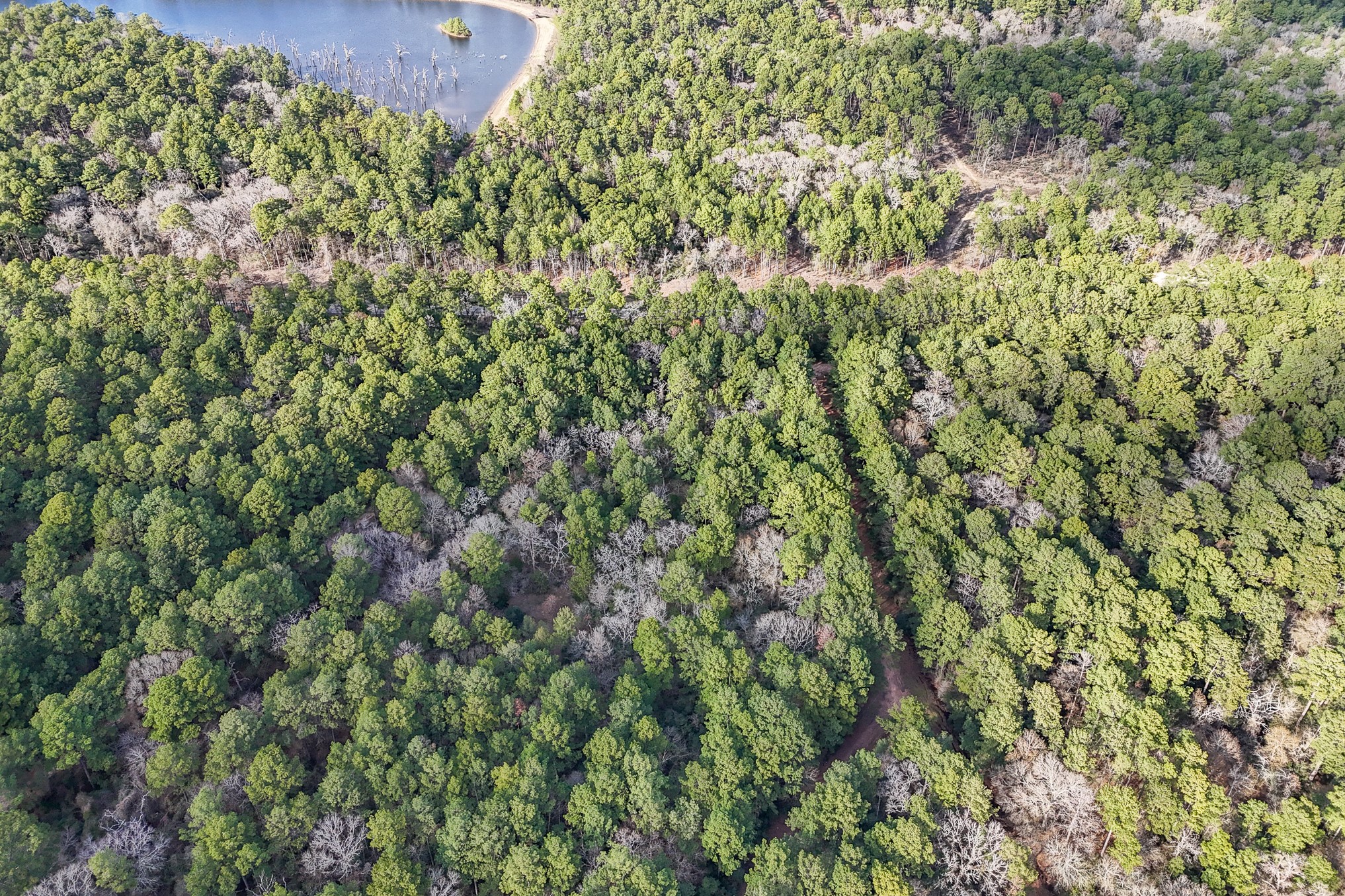 0 Hickory Bow Lane, Hempstead, TX 77445