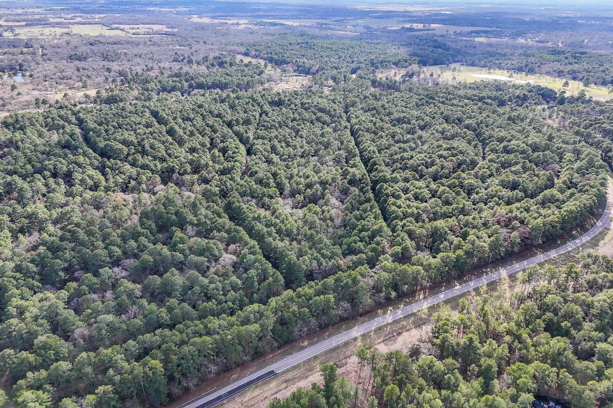 0 Hickory Bow Lane, Hempstead, TX 77445