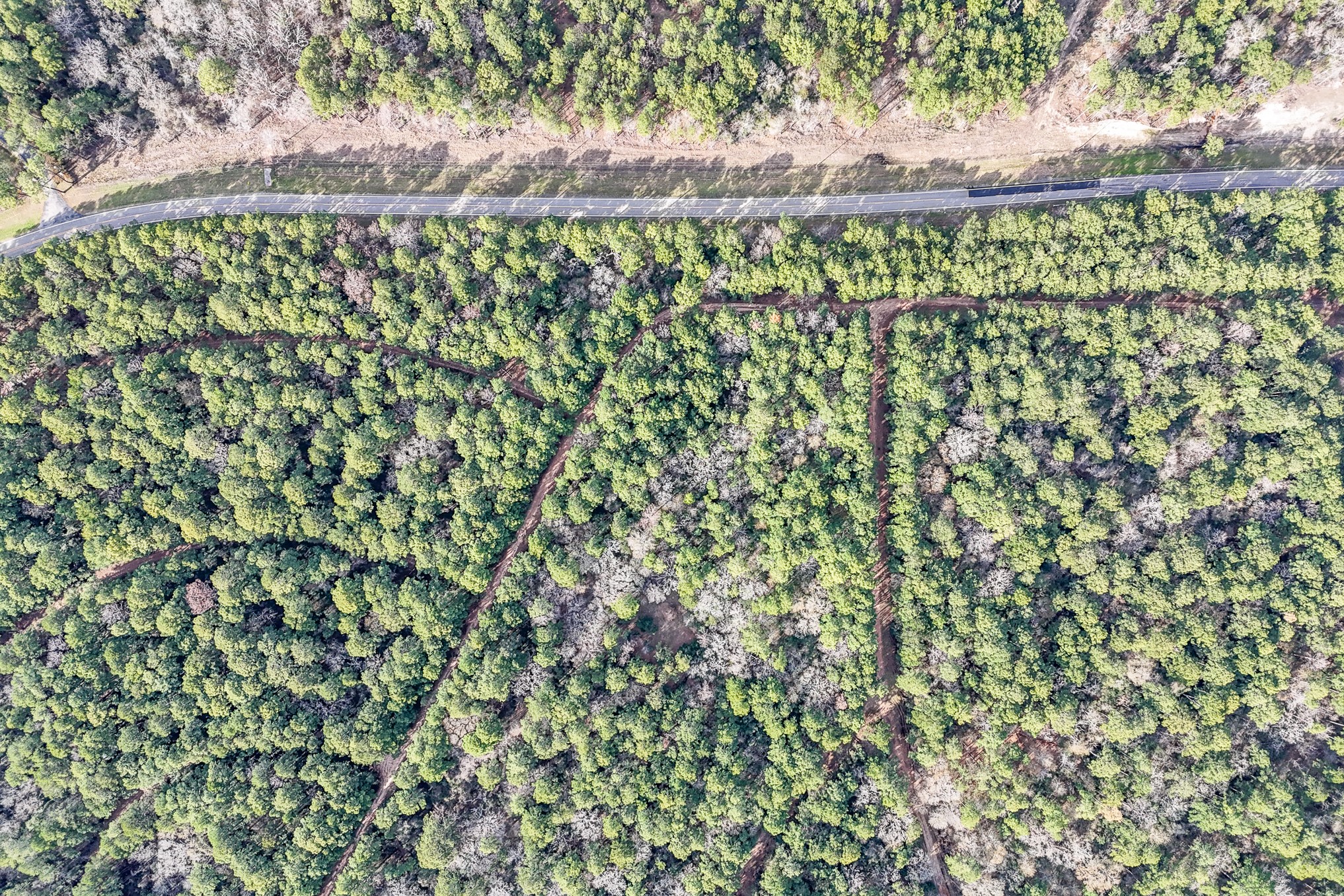 0 Hickory Bow Lane, Hempstead, TX 77445