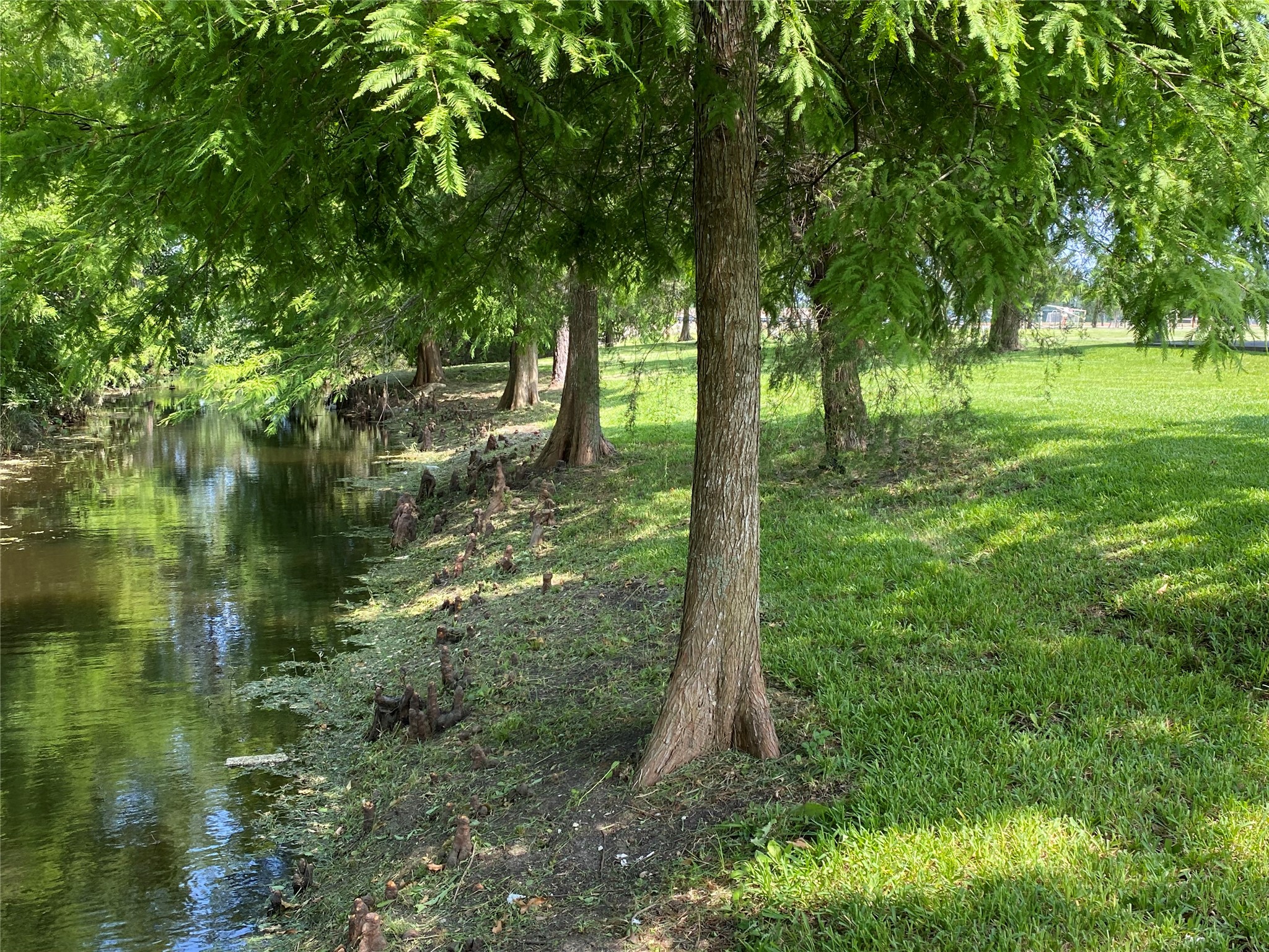 2609 Hughes Road, Dickinson, TX 77539 2609 Hughes Road, Dickinson, TX 77539