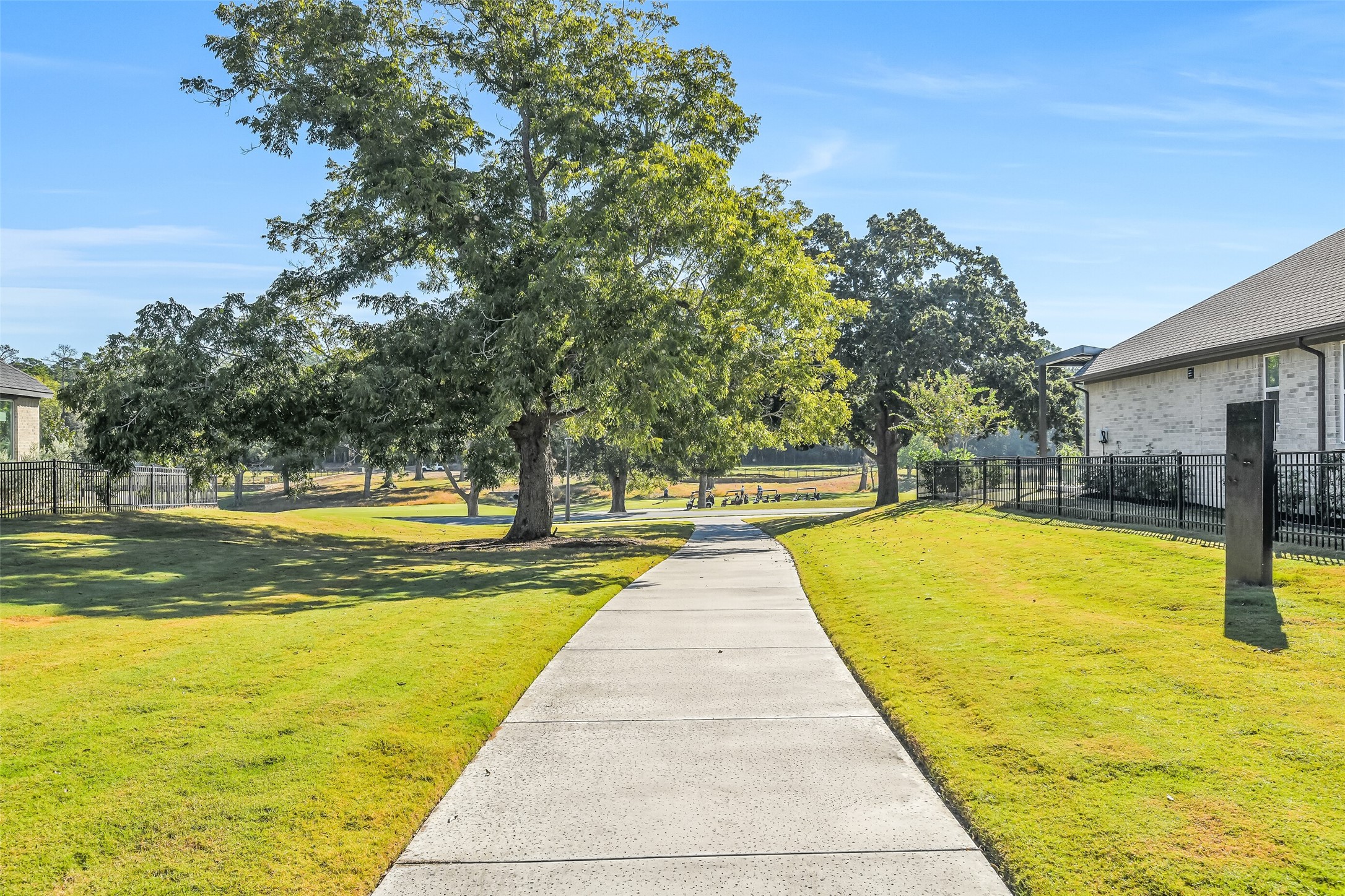 10031 Lehman Drive, Willis, TX 77318