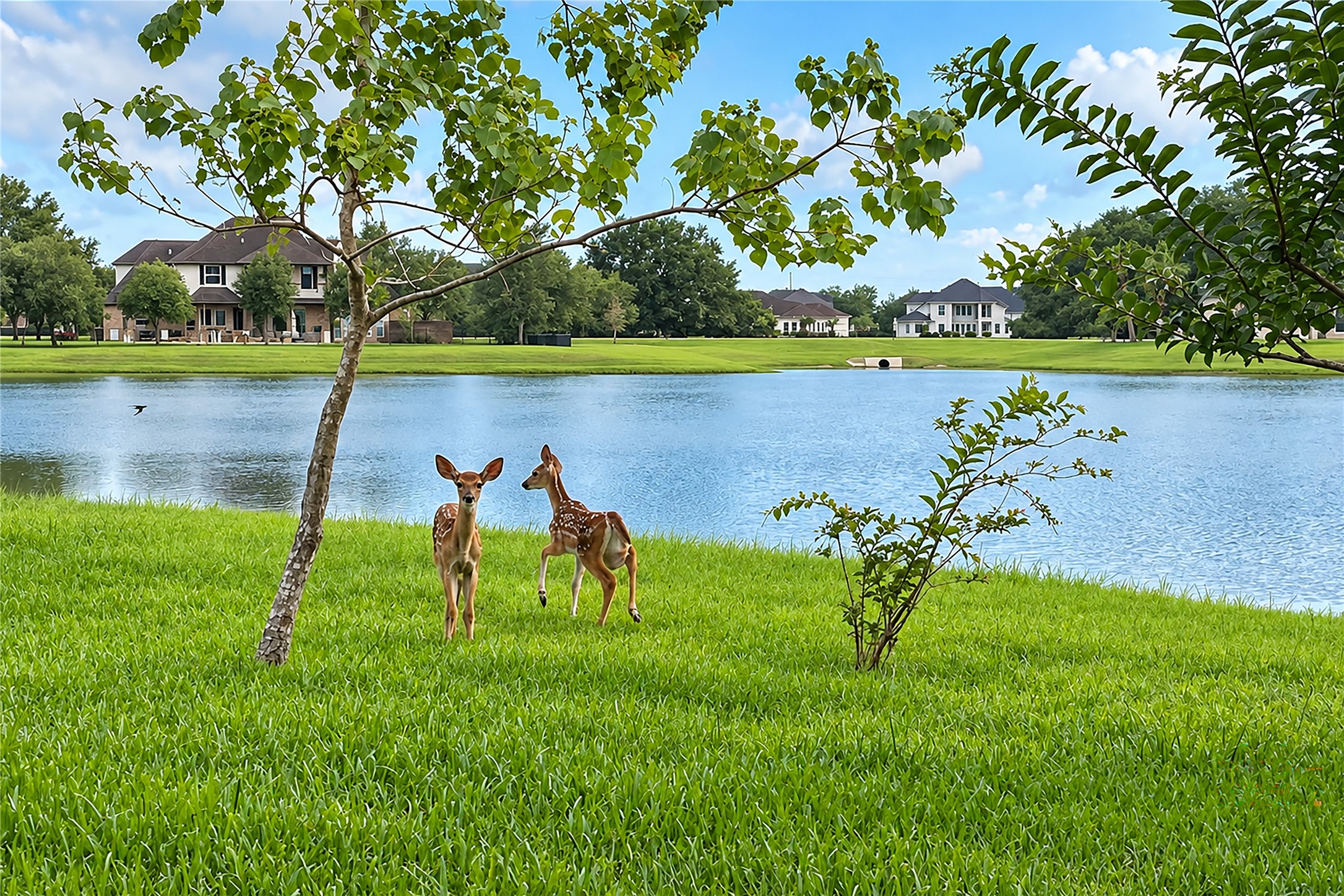 8902 Marshall Island Street, Richmond, TX 77469