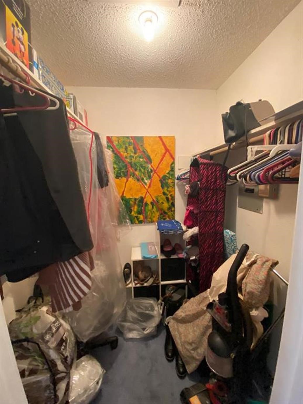 This is a small walk-in closet with shelves and hanging space on both sides. It features a light fixture on the ceiling and is carpeted. The closet is currently used for storage, with clothes, shoes, and various items visible.
