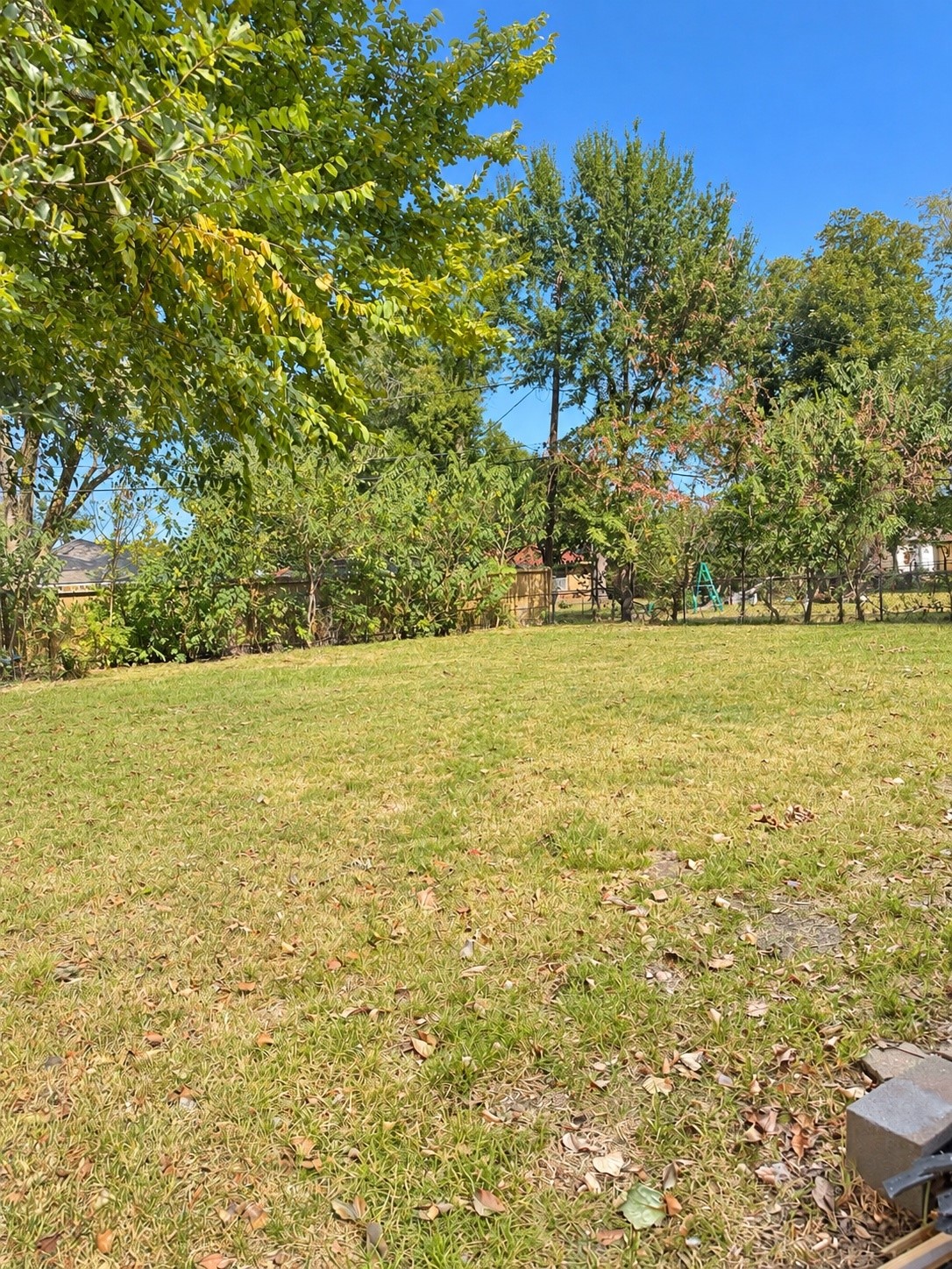 Expansive, sunlit backyard with lush greenery and mature trees, perfect for outdoor activities and relaxation.