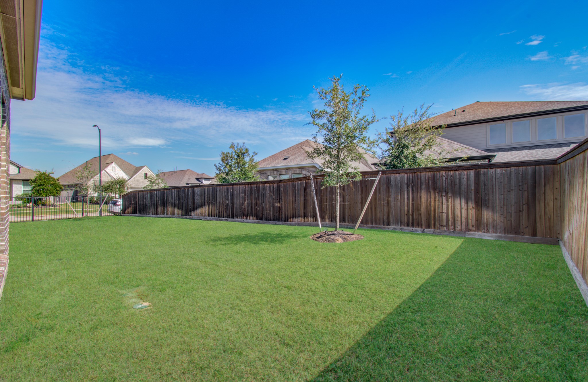 Spacious backyard with lush green grass, a wooden fence for privacy, and young trees, perfect for outdoor activities and relaxation.
