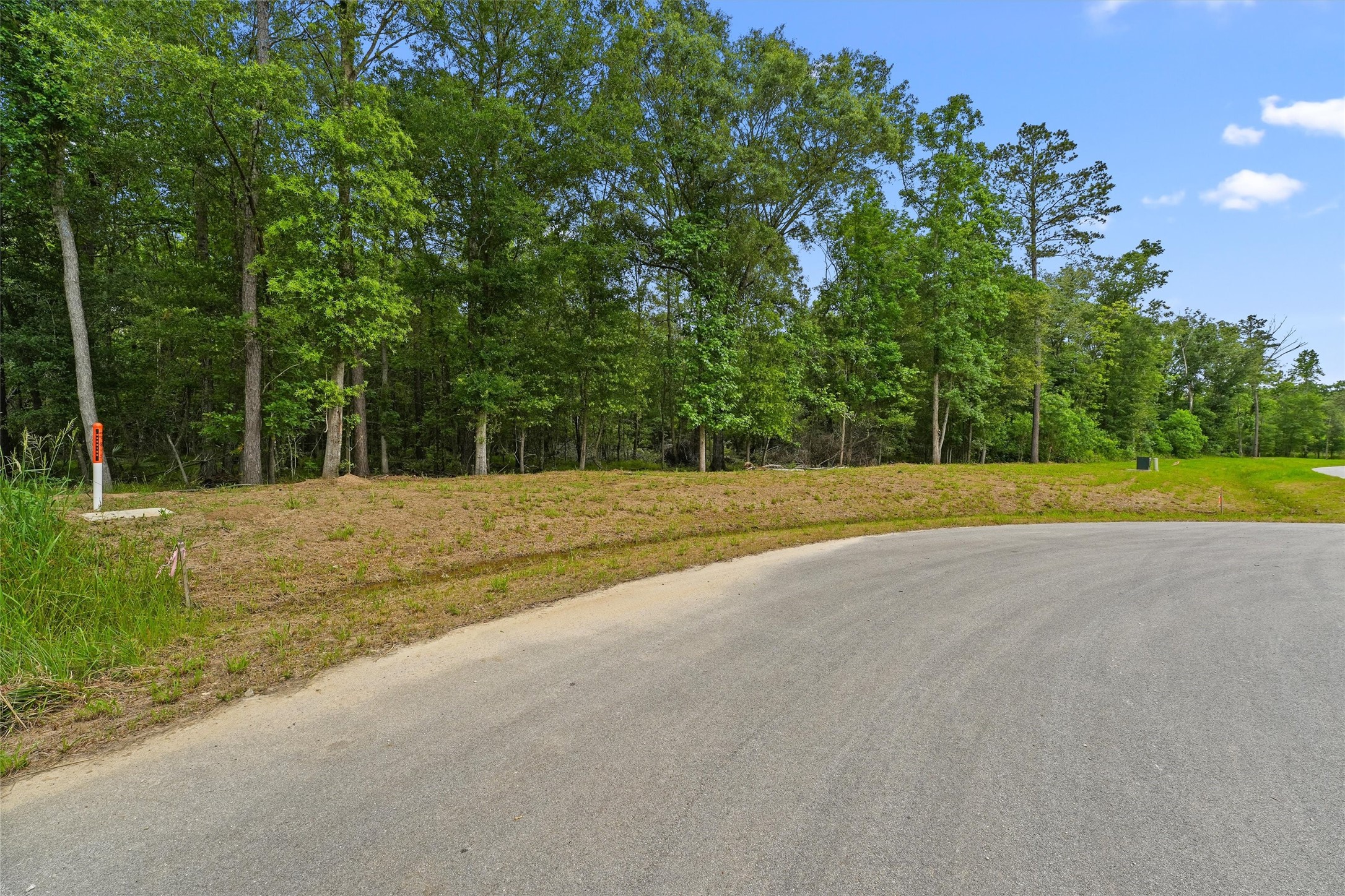 Mature trees provide a beautiful starting point for creating a home surrounded by nature.