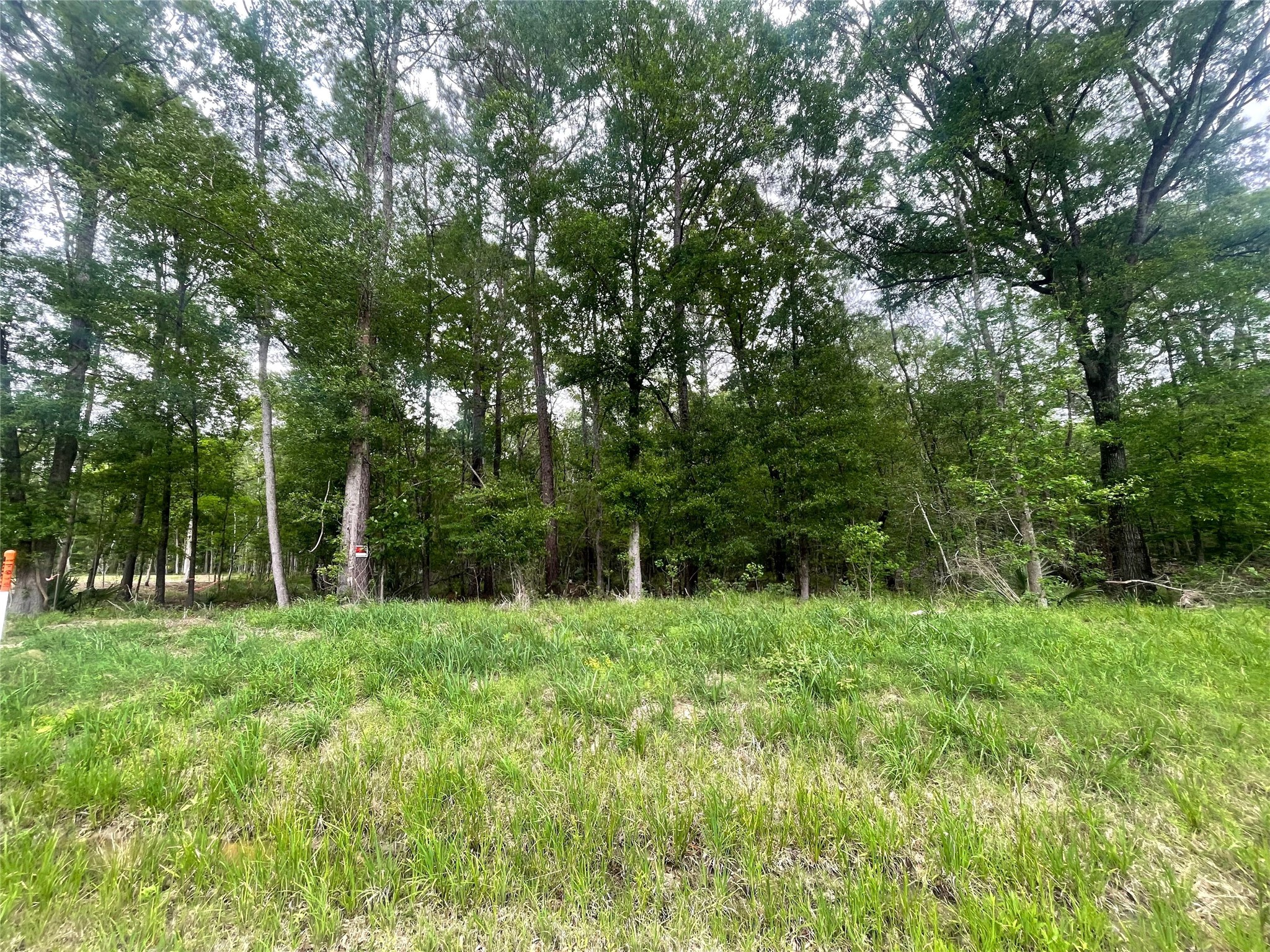 Generous road frontage and a wooded backdrop create an inviting setting for a future custom residence.
