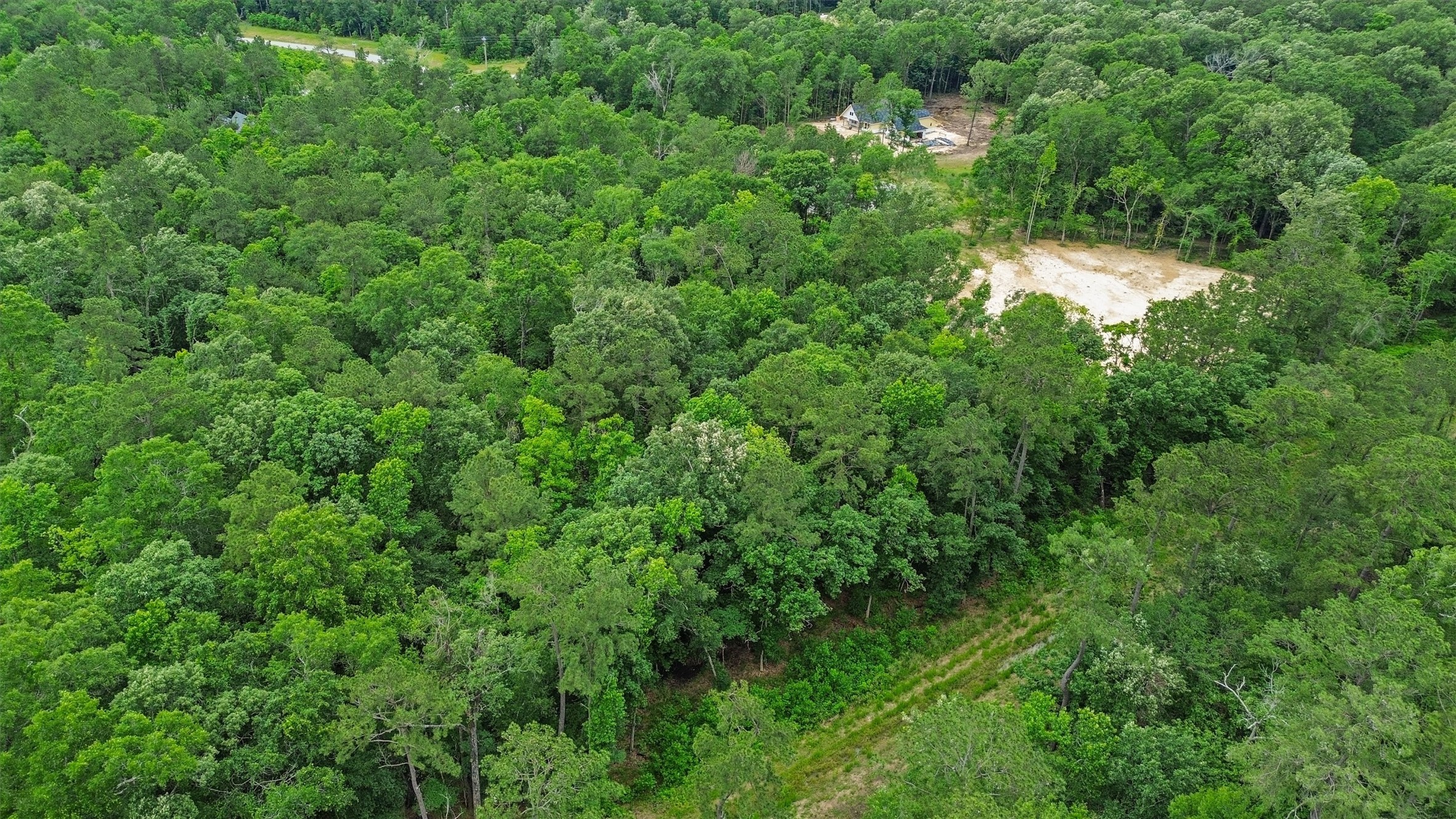 Choose the trees you want to preserve and create a homesite designed around your vision.