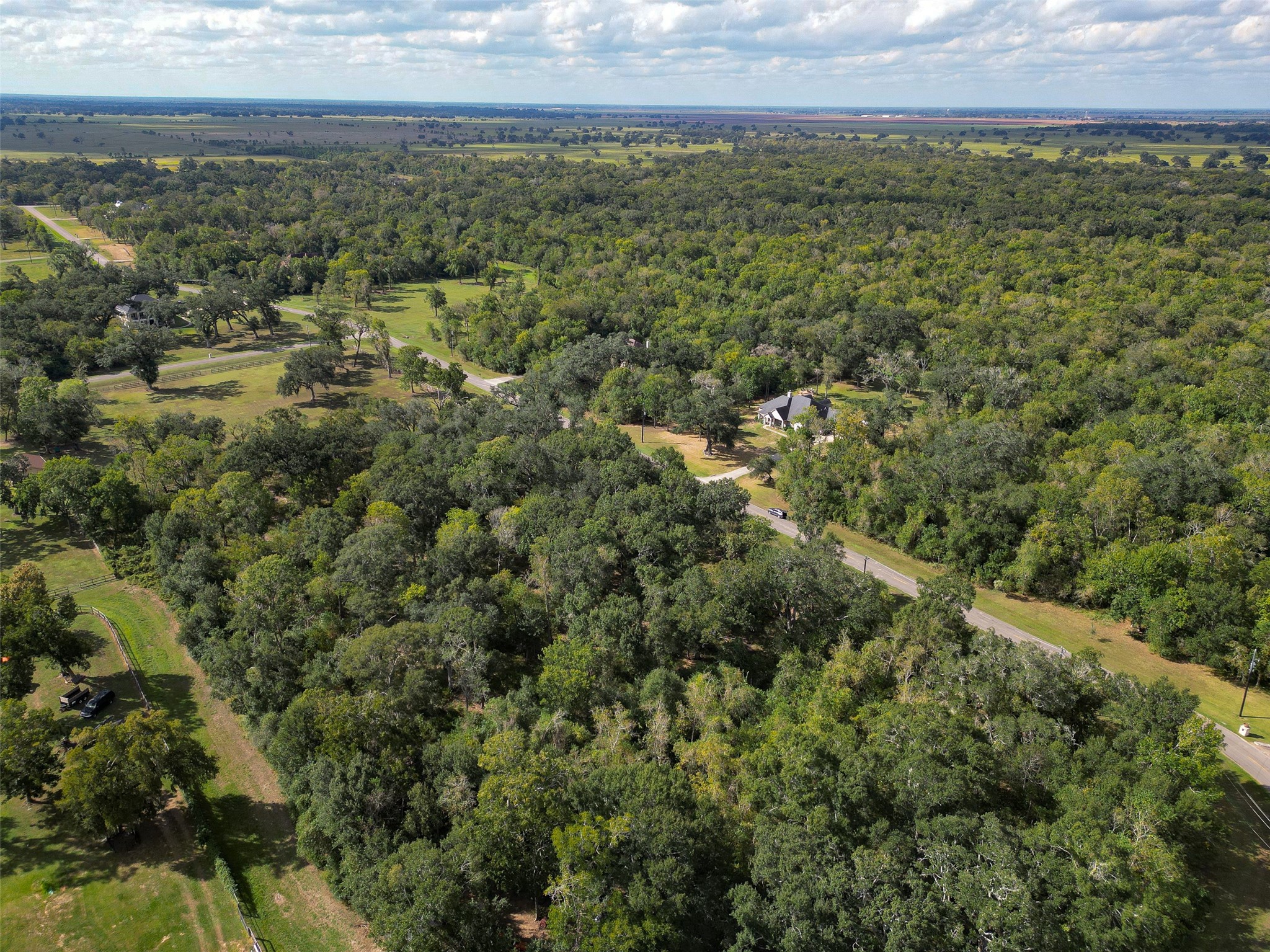 17227 Hamill Drive, Rosharon, TX 77583