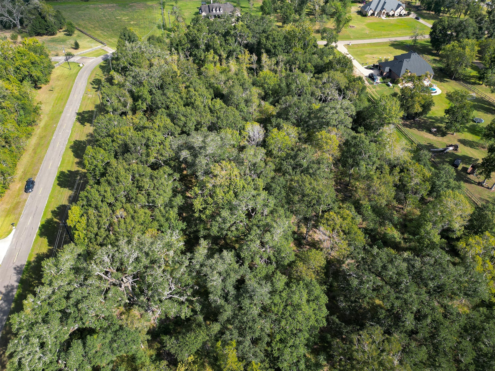 17227 Hamill Drive, Rosharon, TX 77583