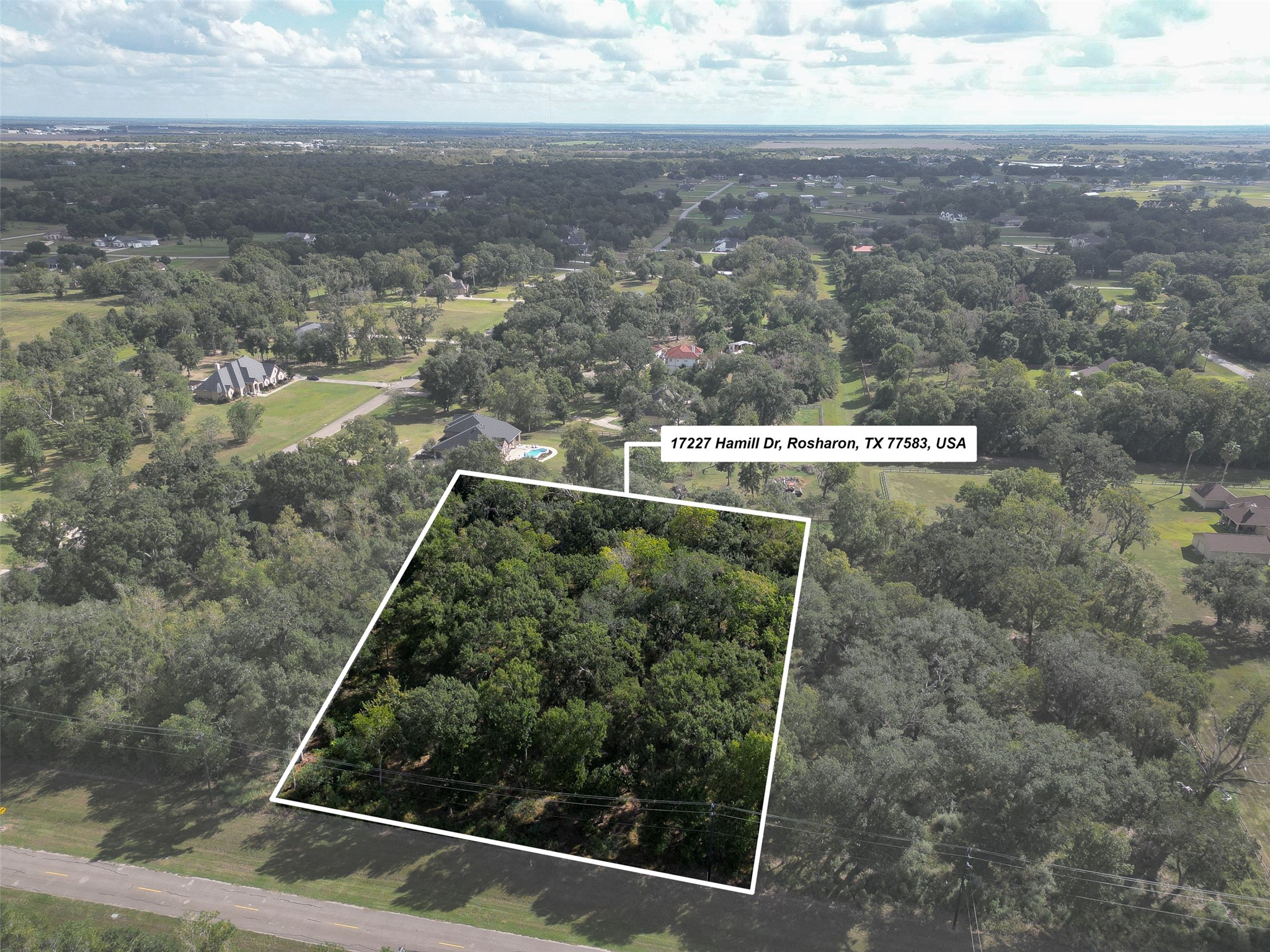 17227 Hamill Drive, Rosharon, TX 77583