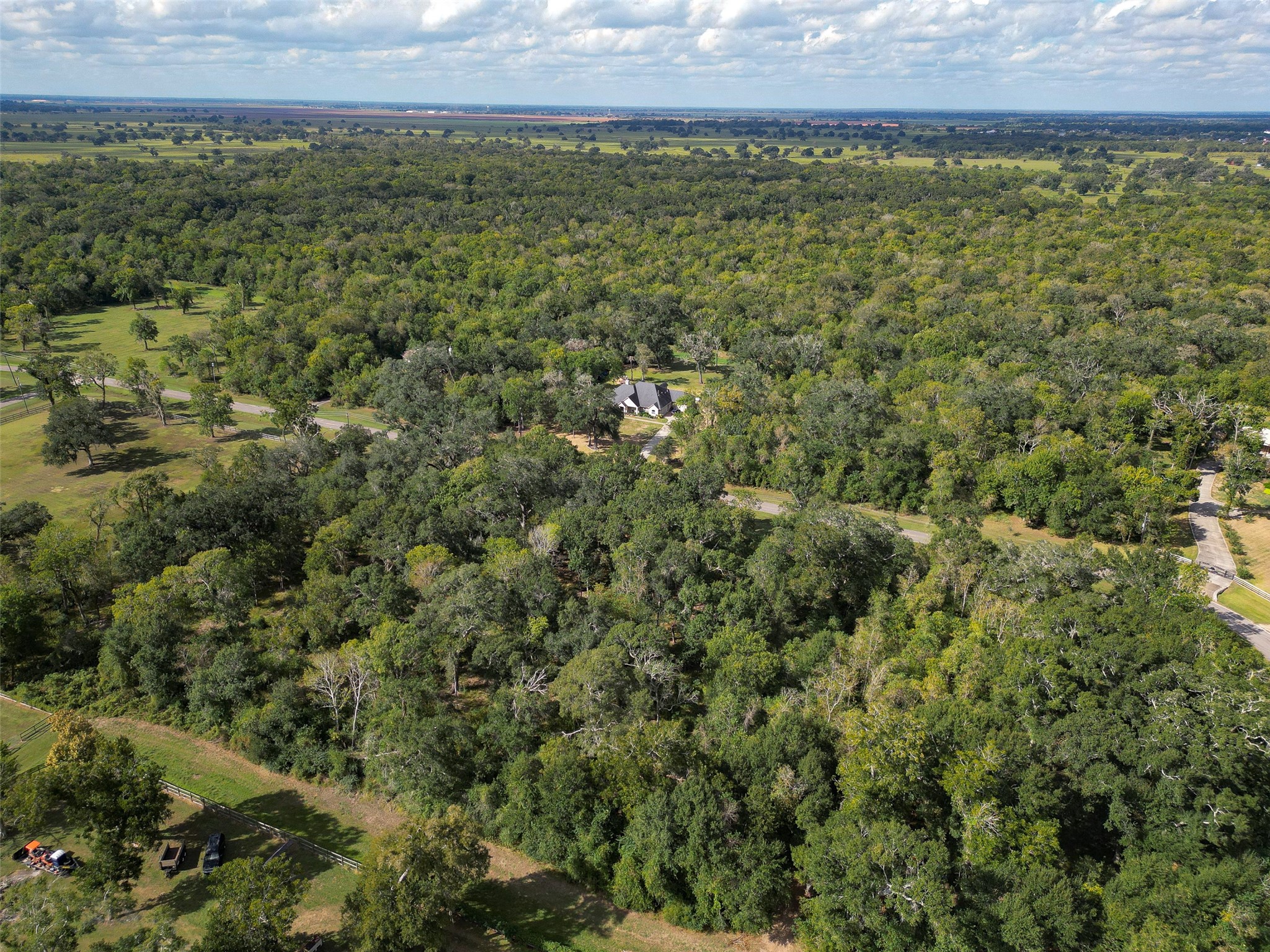 17227 Hamill Drive, Rosharon, TX 77583
