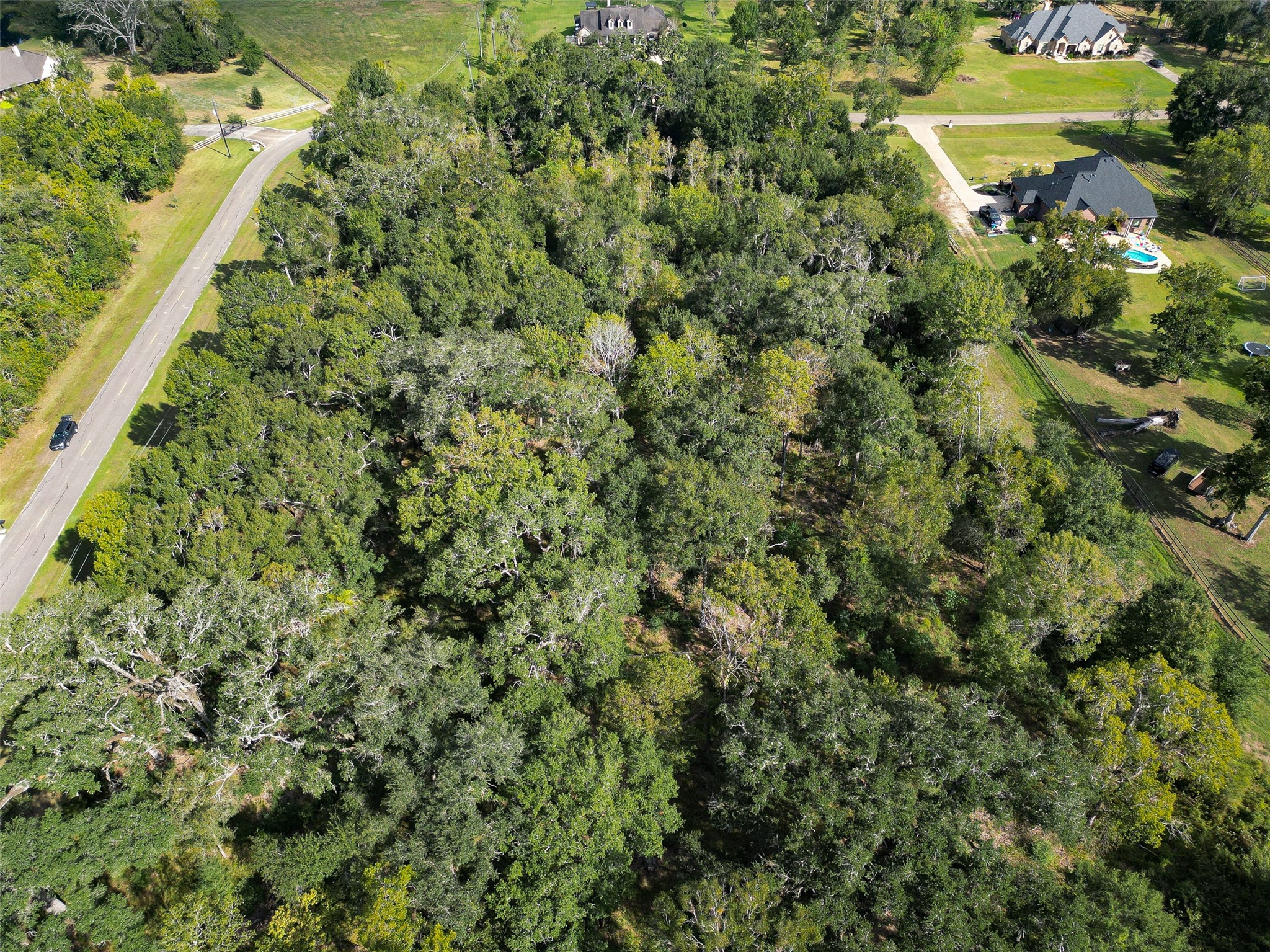 17227 Hamill Drive, Rosharon, TX 77583