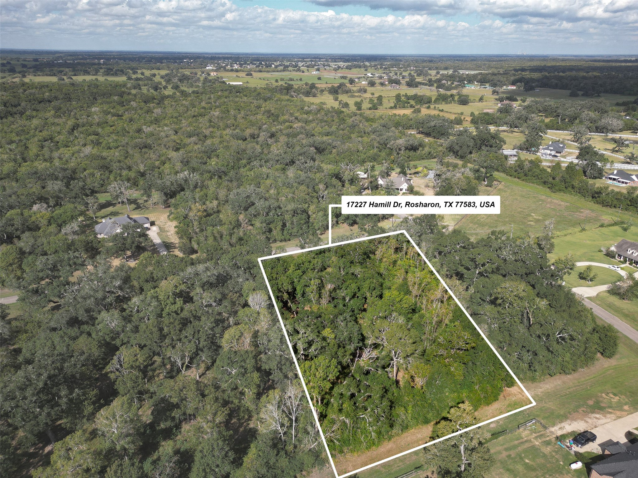 17227 Hamill Drive, Rosharon, TX 77583